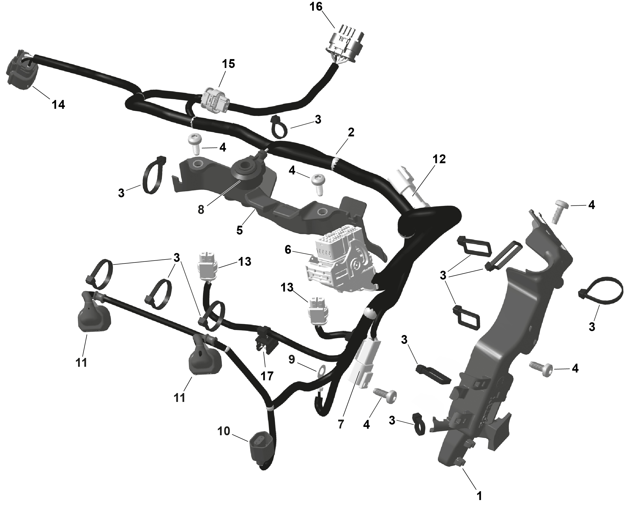 Схема узла: ROTAX - Engine Harness And Electronic Module
