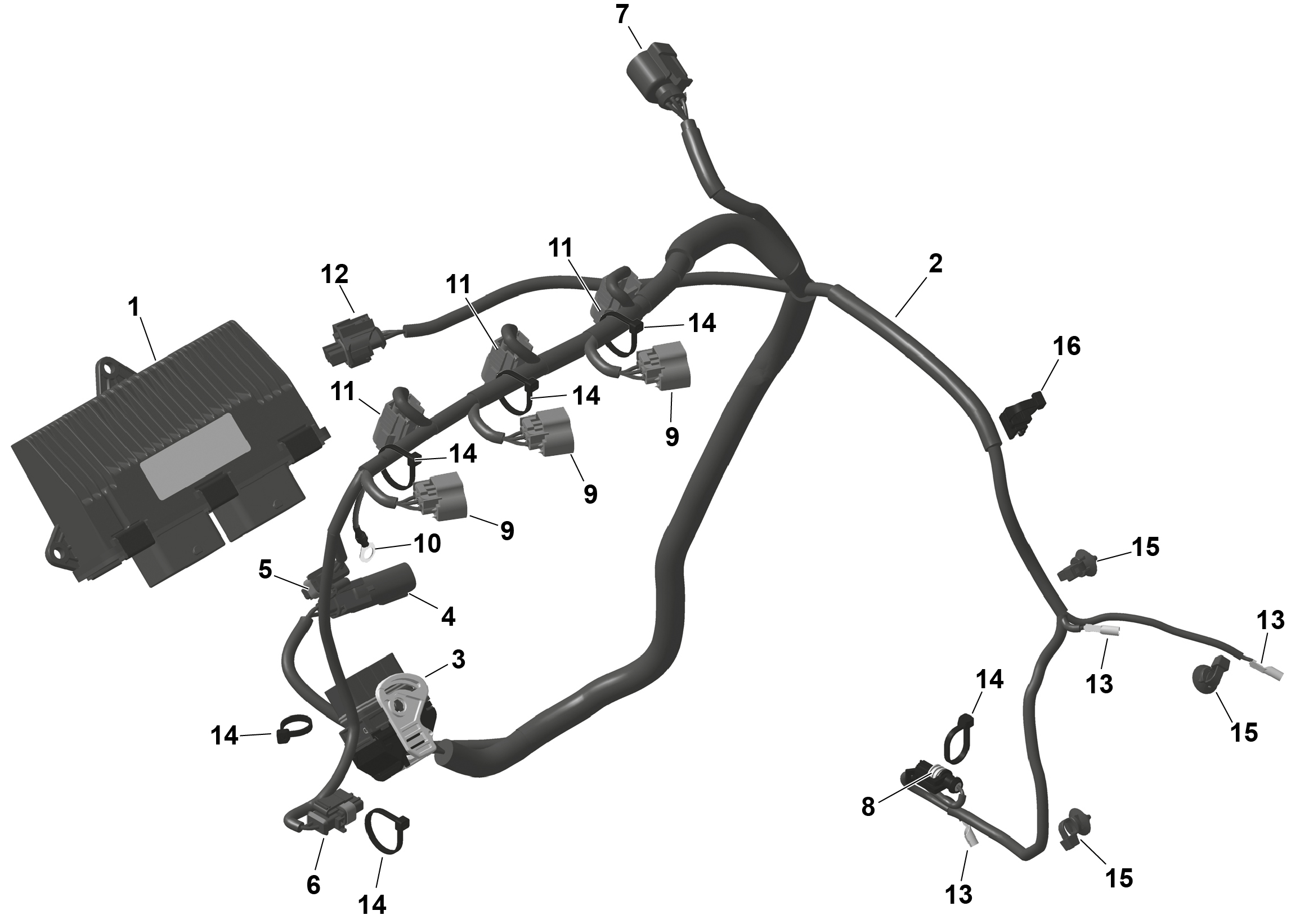 ROTAX - Engine Harness And Electronic Module
