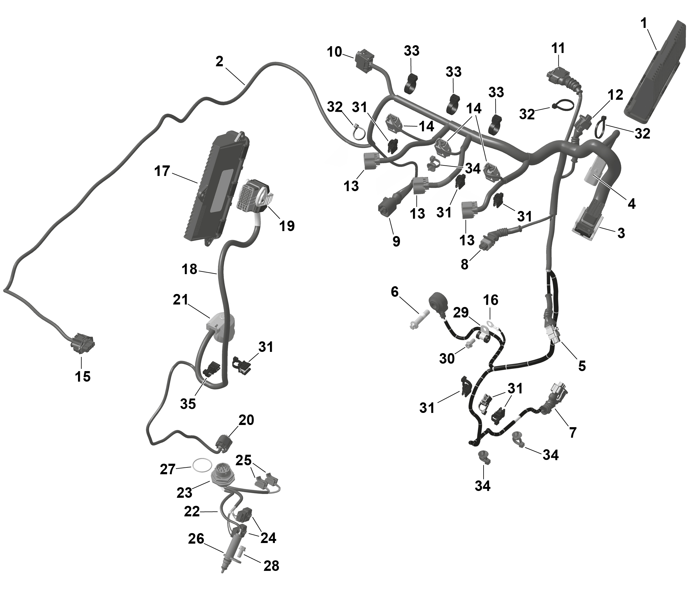 Схема узла: ROTAX - Engine Harness And Electronic Module