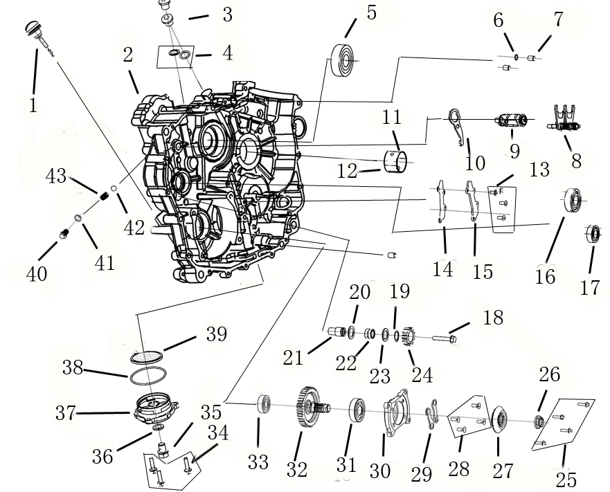 DIAGRAM 2025 AODES LEFT CRANKCASE B  E10
