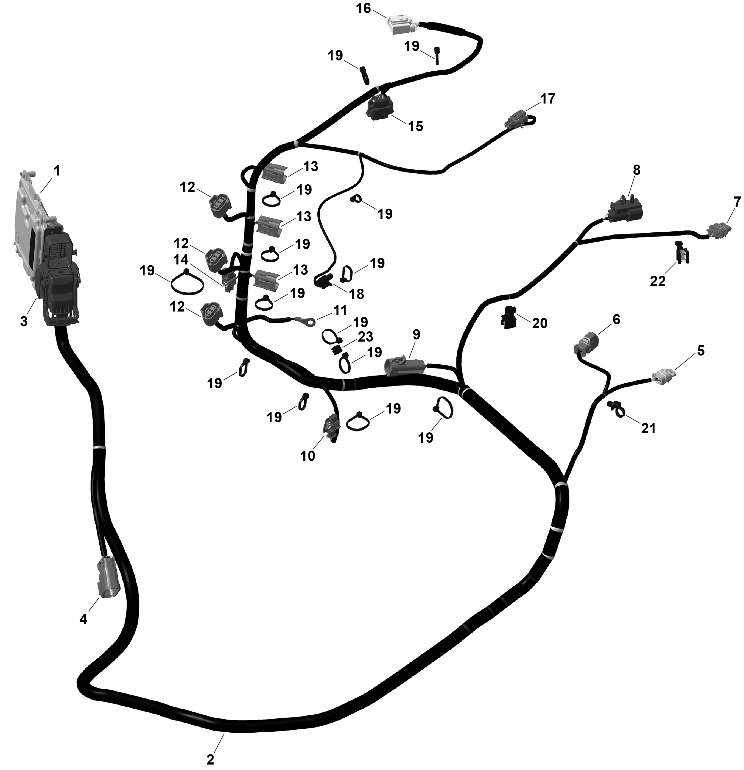 ROTAX - Engine Harness And Electronic Module