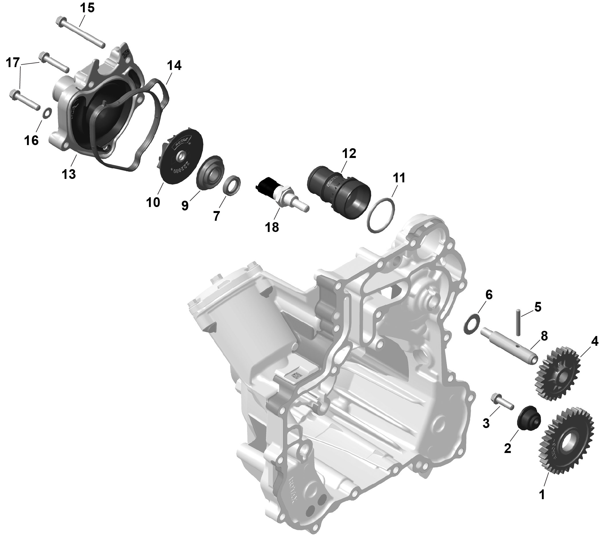 Схема узла: ROTAX - Engine Cooling