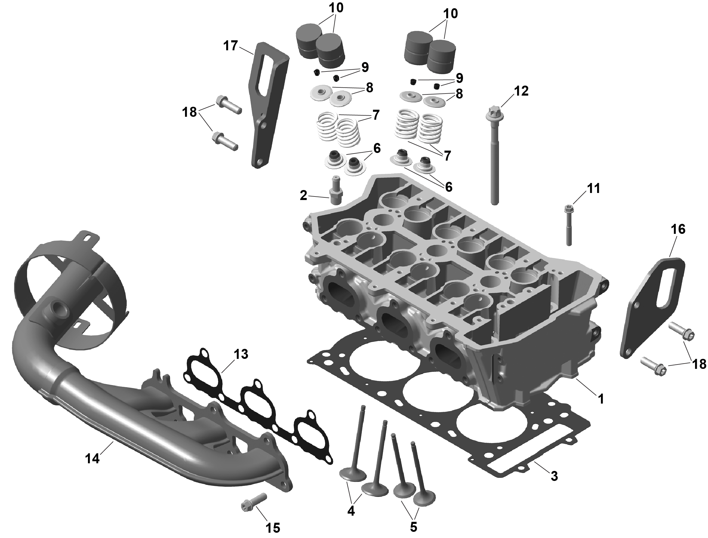 ROTAX - Cylinder Head