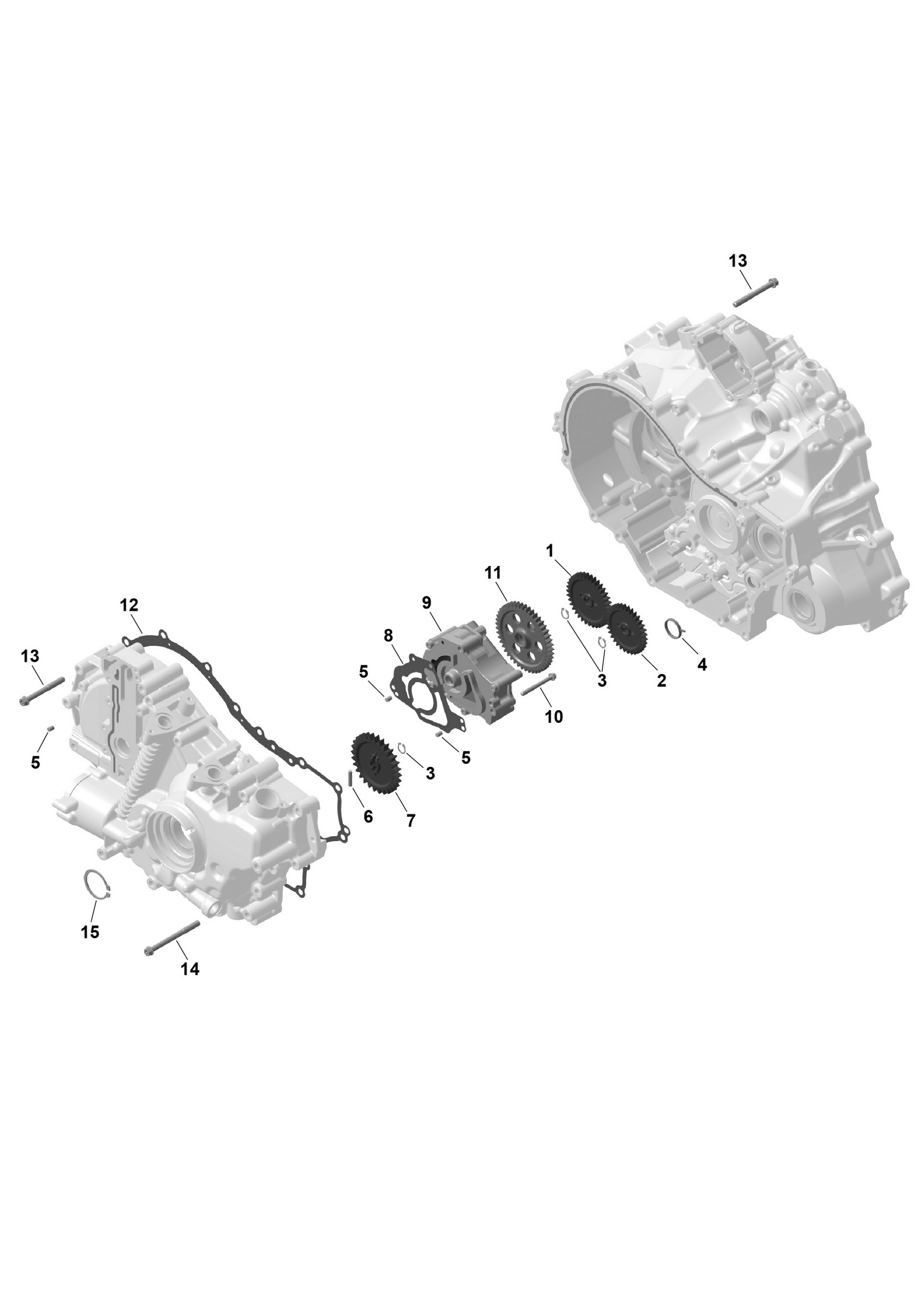 Схема узла: ROTAX - Gearbox Oil Pump