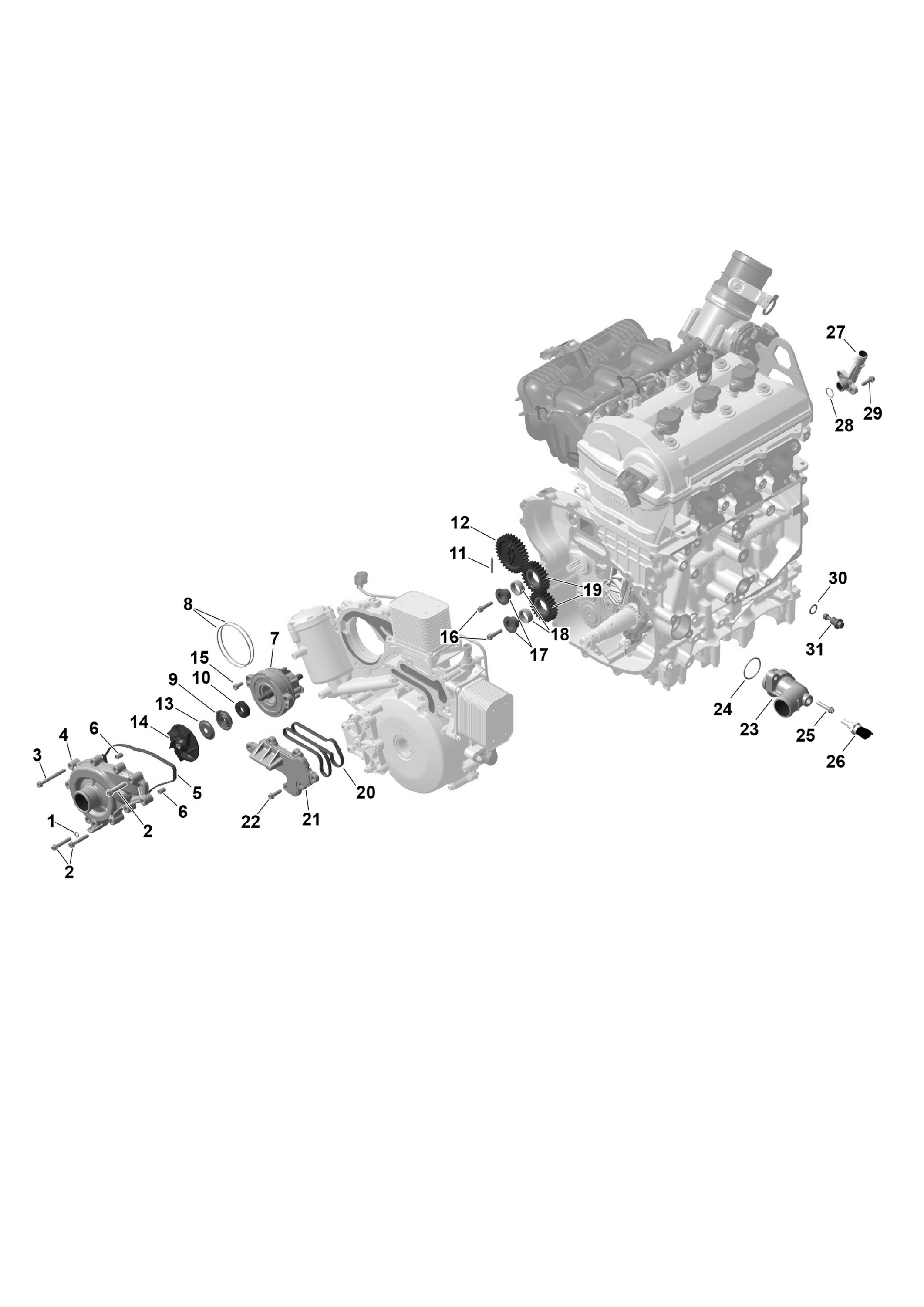 Схема узла: ROTAX - Engine Cooling