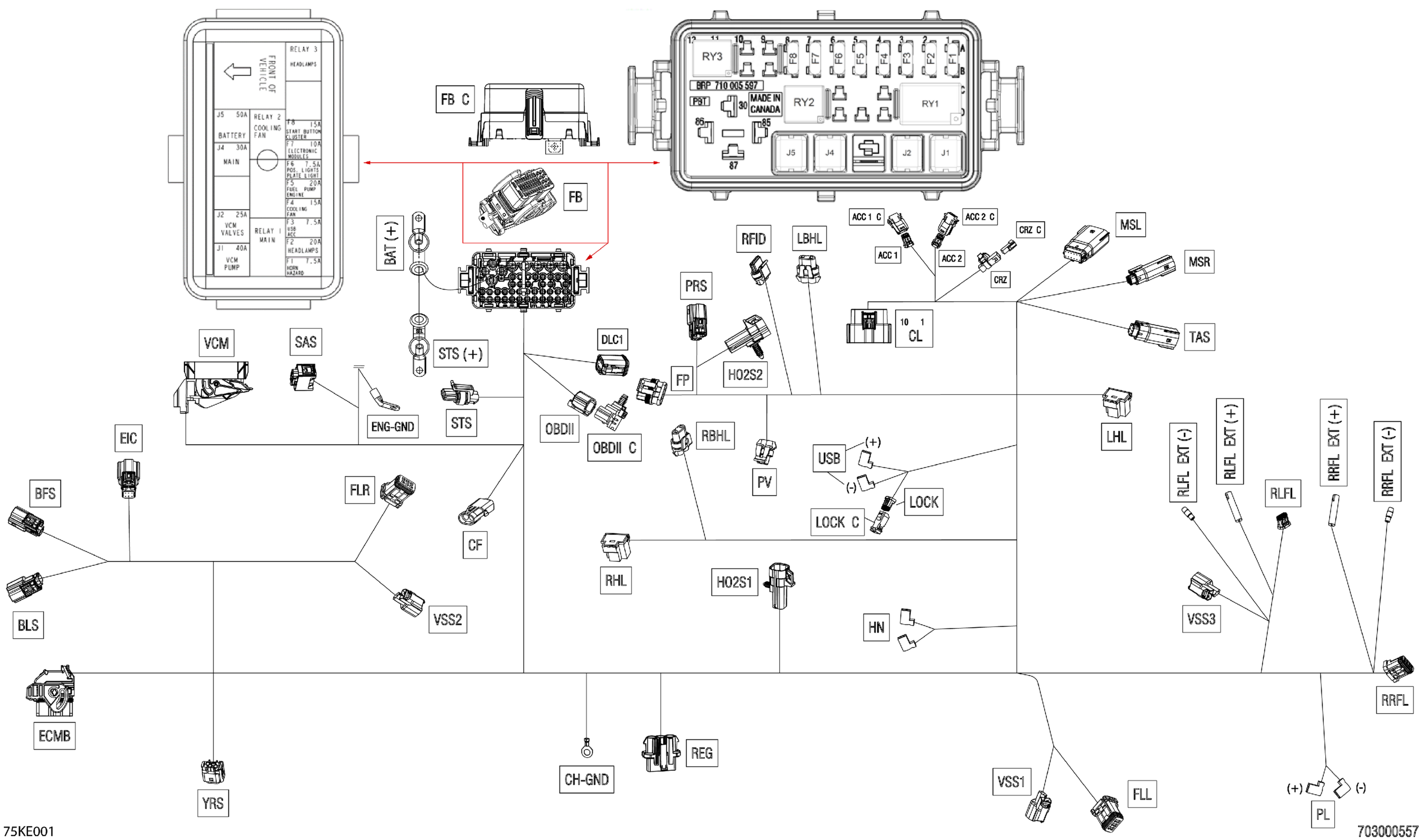 Electric - Main Harness