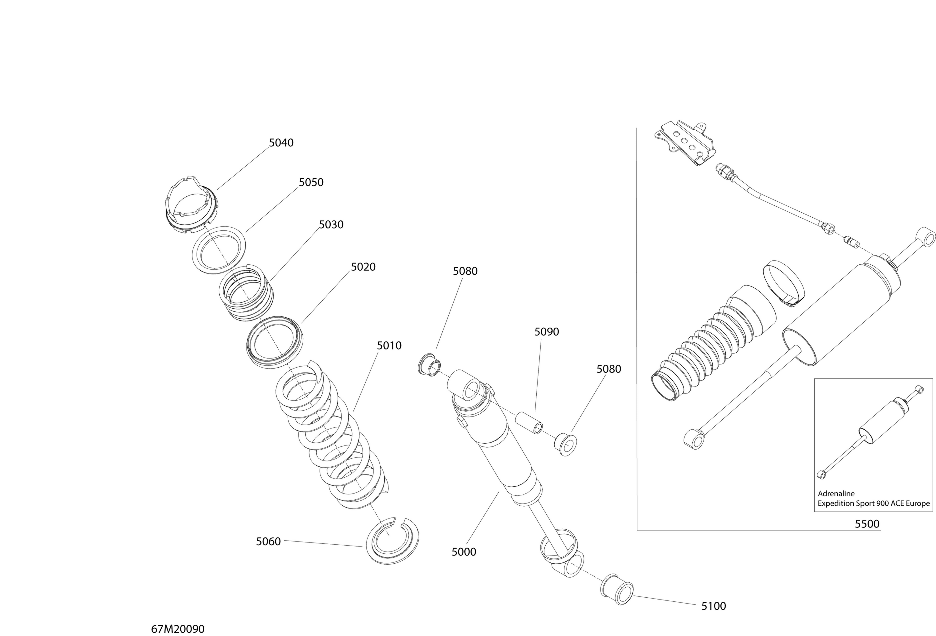 Suspension, Rear - Shocks - Sport