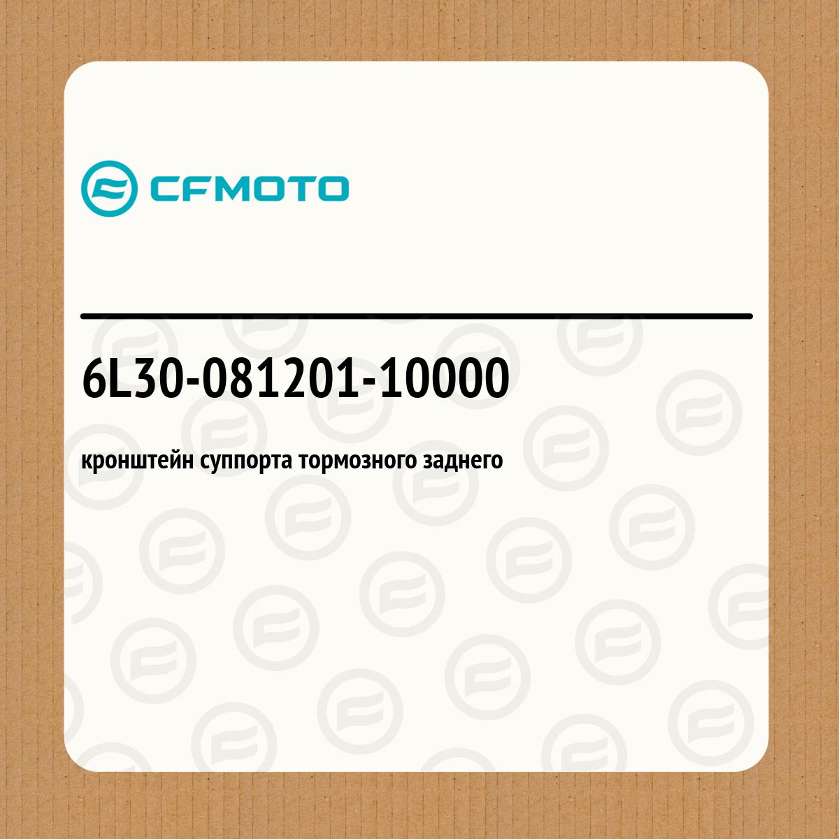 кронштейн суппорта тормозного заднего