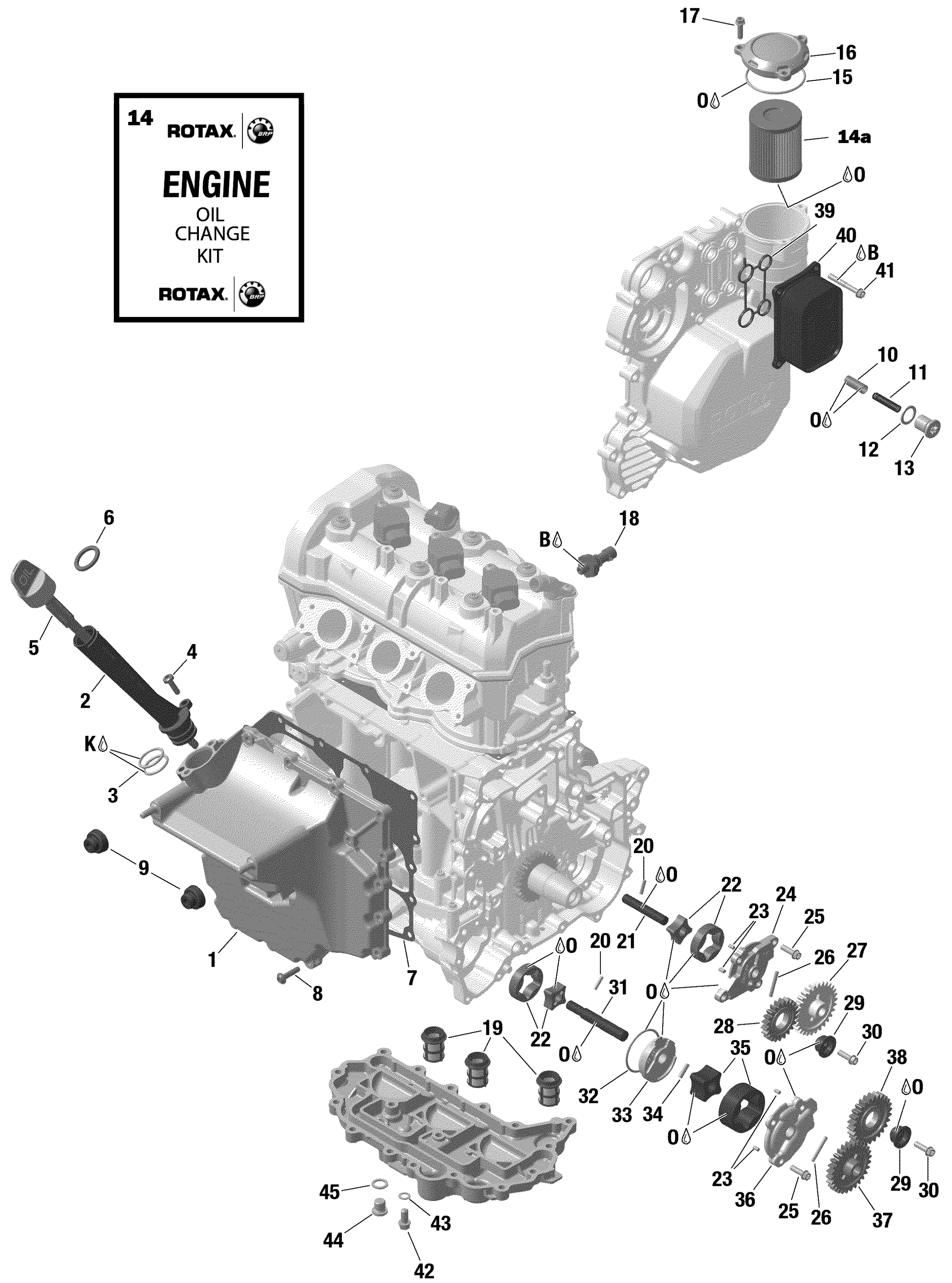 Engine - Lubrication - 900 ACE