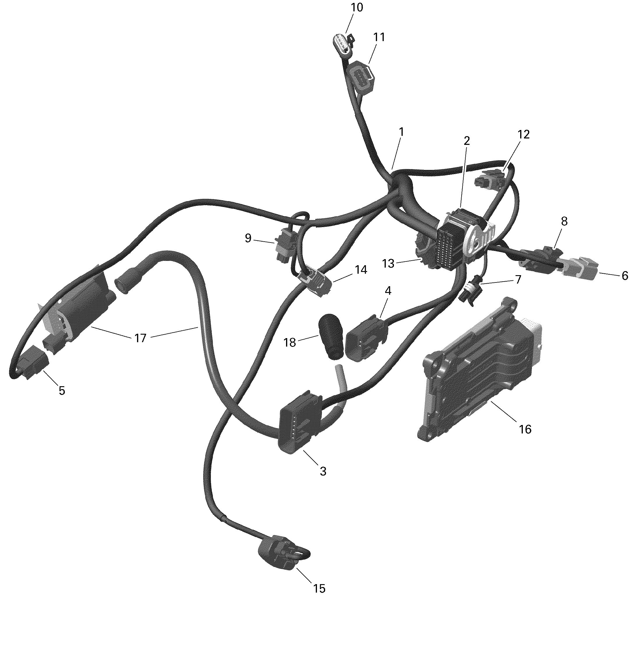 Rotax - Engine Harness And Electronic Module - 1
