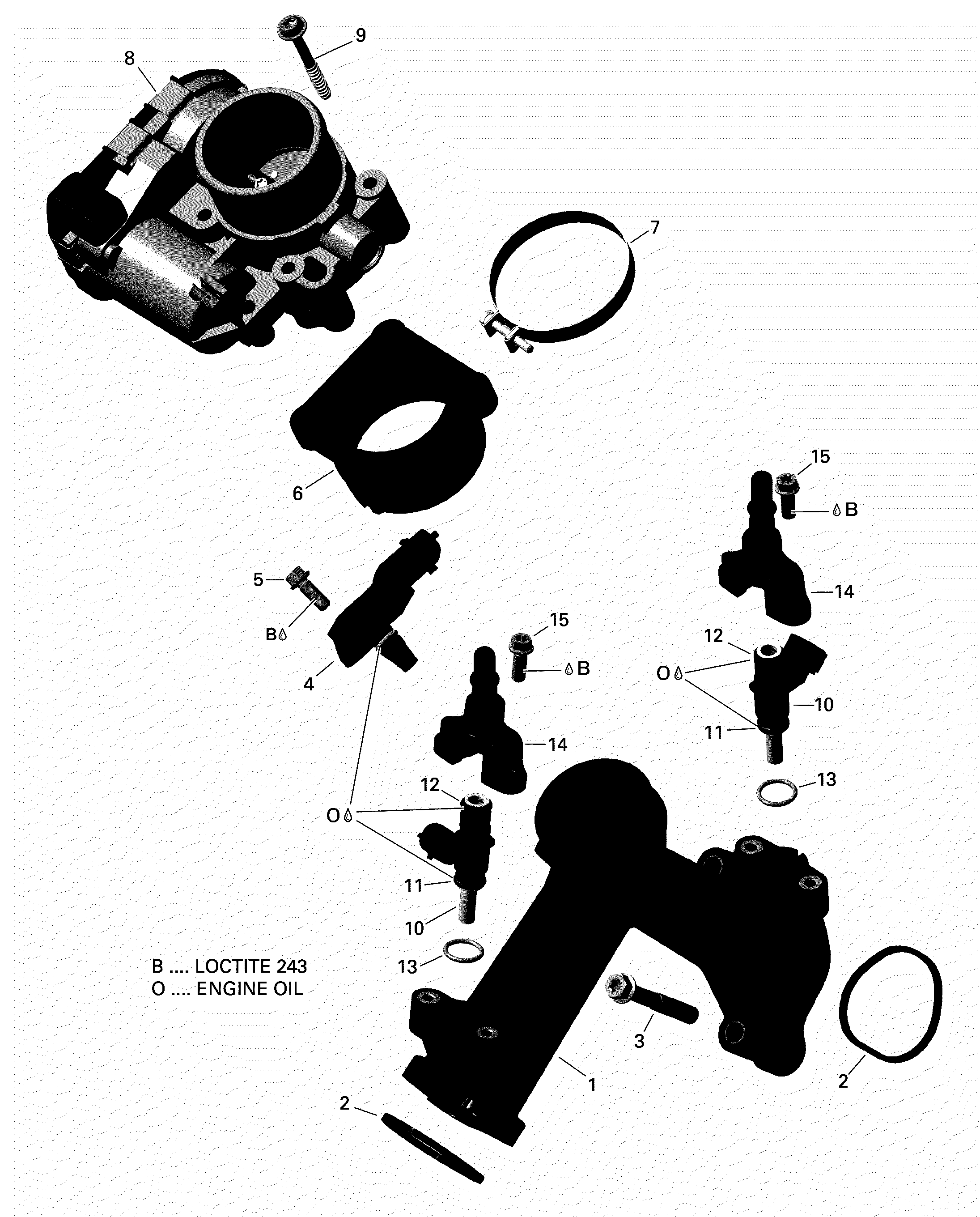 ROTAX - Air Intake Manifold And Throttle Body
