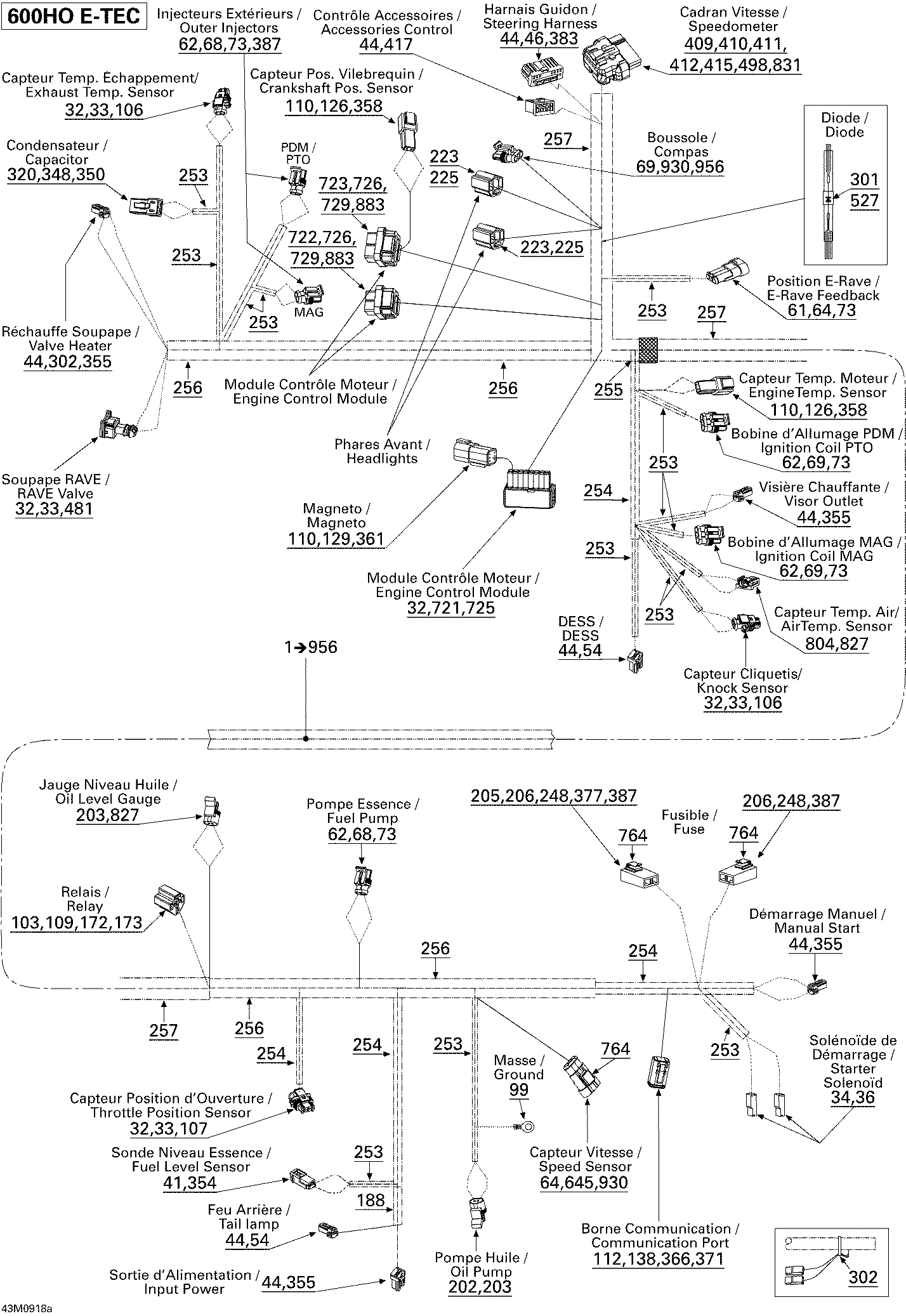 Electrical Harness 600 HO