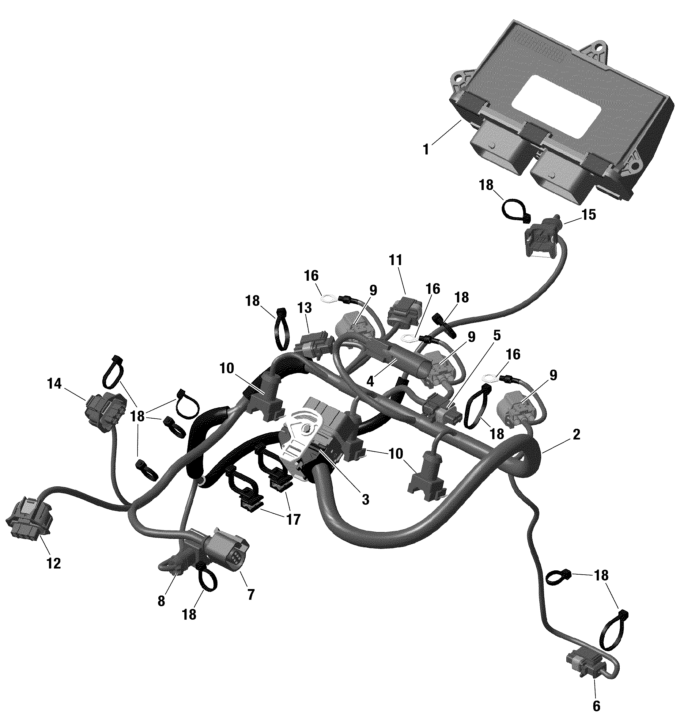Схема узла: Rotax - Engine Harness And Electronic Module - Turbo
