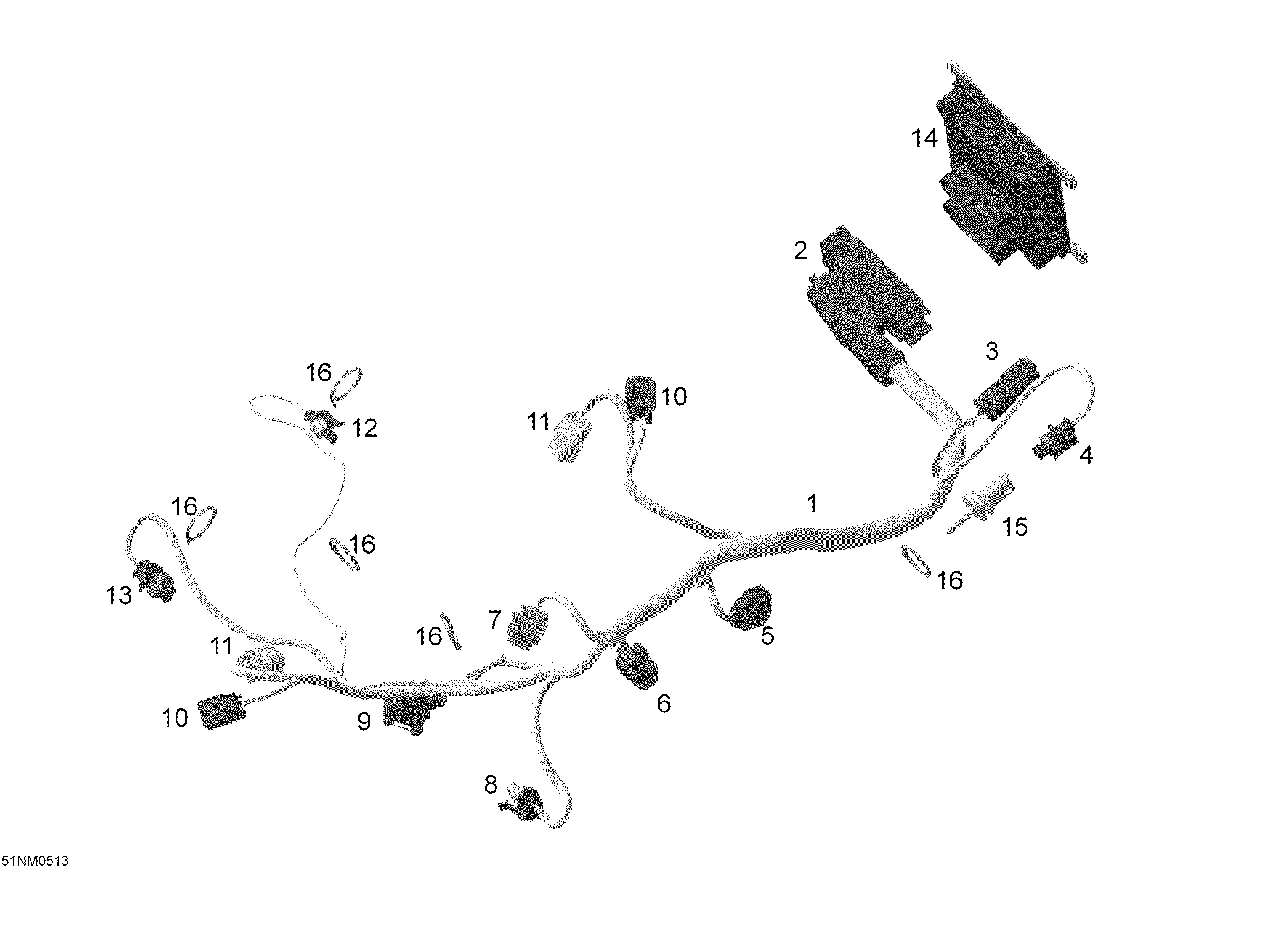 Engine harness and Electronic Module