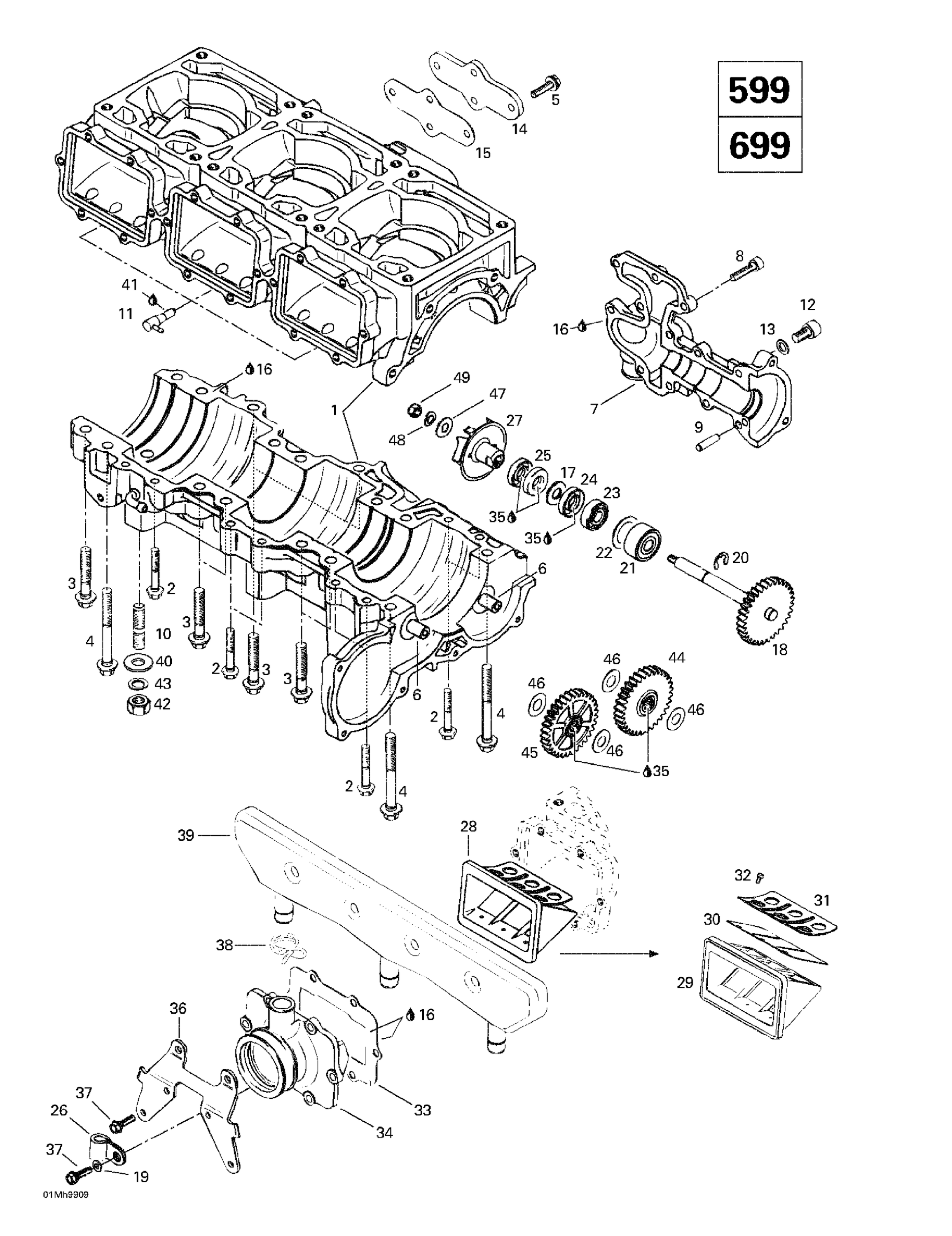 Crankcase, Reed Valve, Water Pump (599, 699)