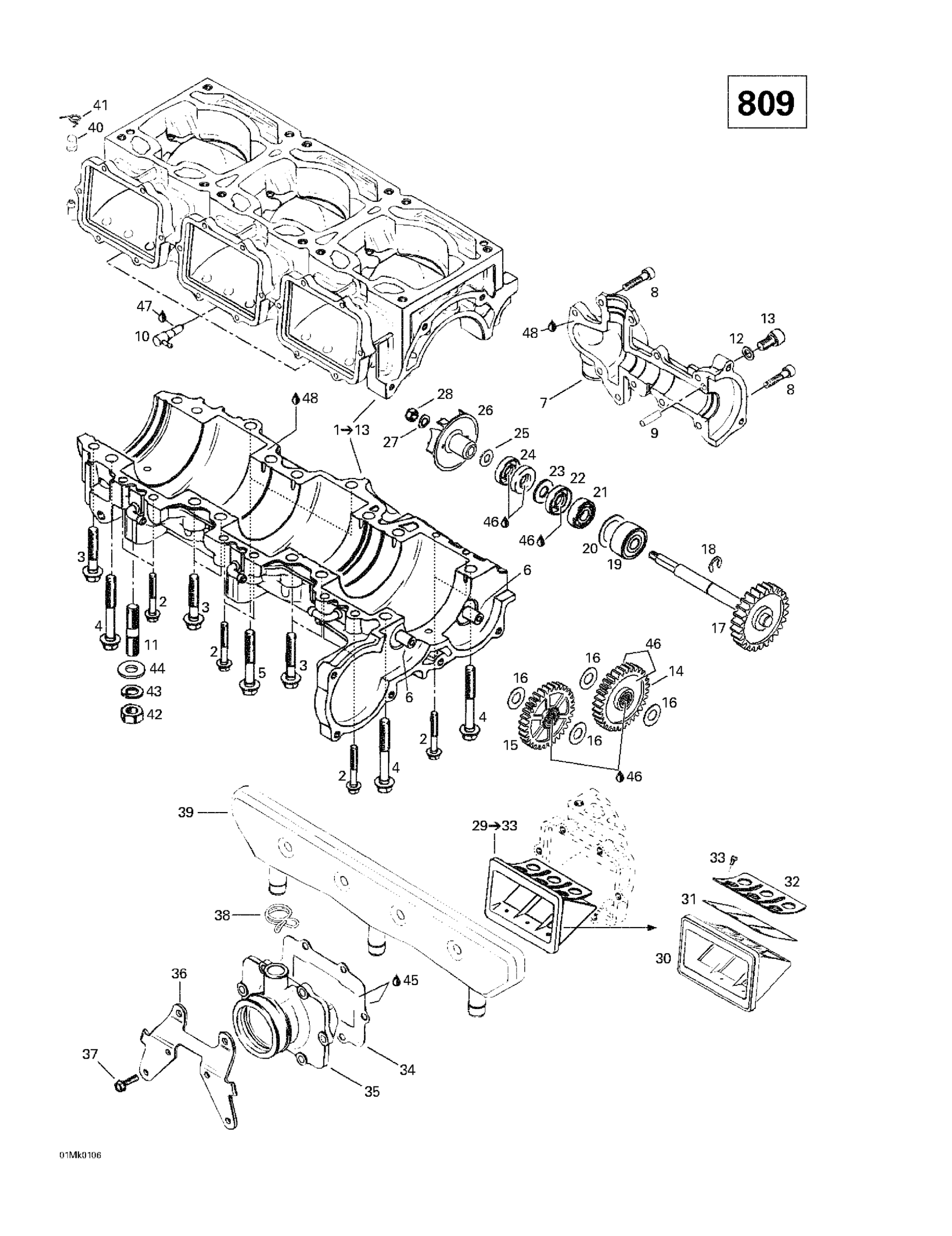 Схема узла: Crankcase, Reed Valve, Water Pump (809)