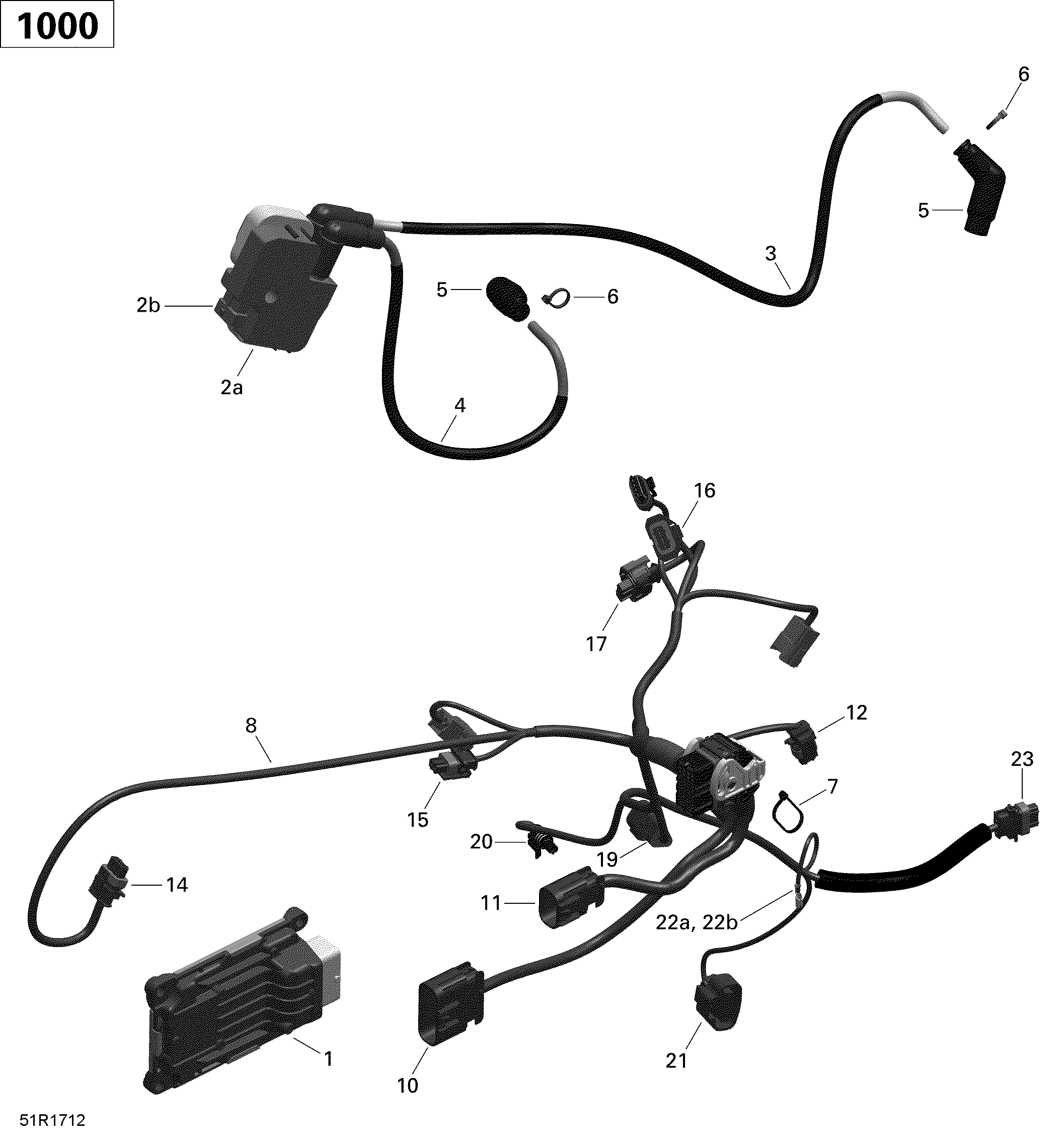 ROTAX - Engine Harness and Electronic Module