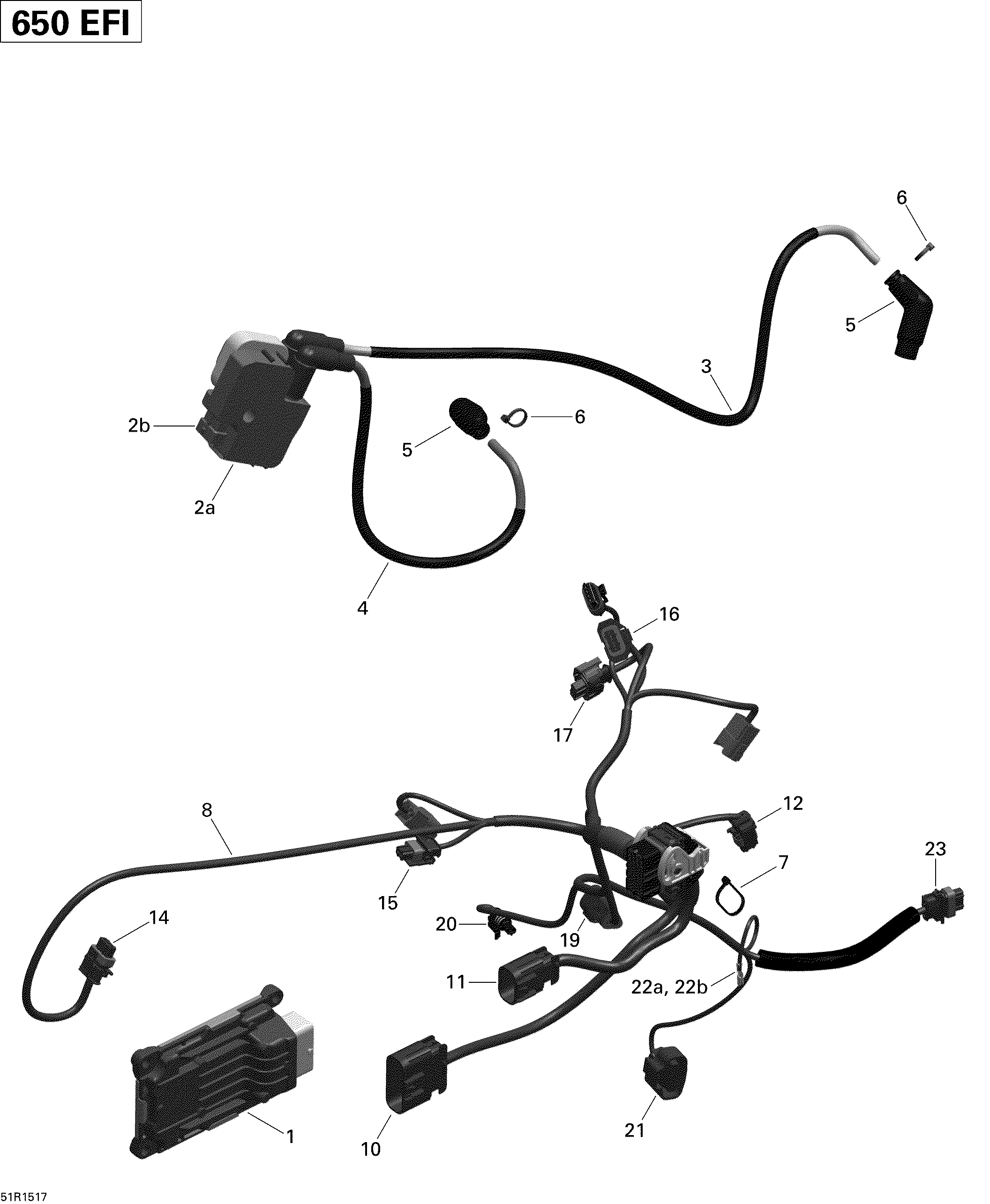 Engine Harness And Electronic Module _51R1517