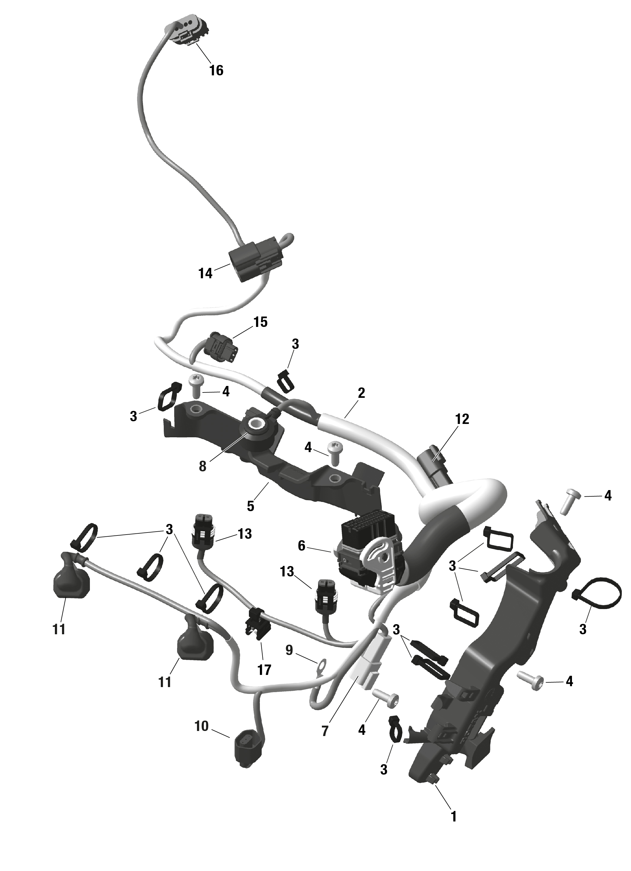 Rotax - Engine Harness