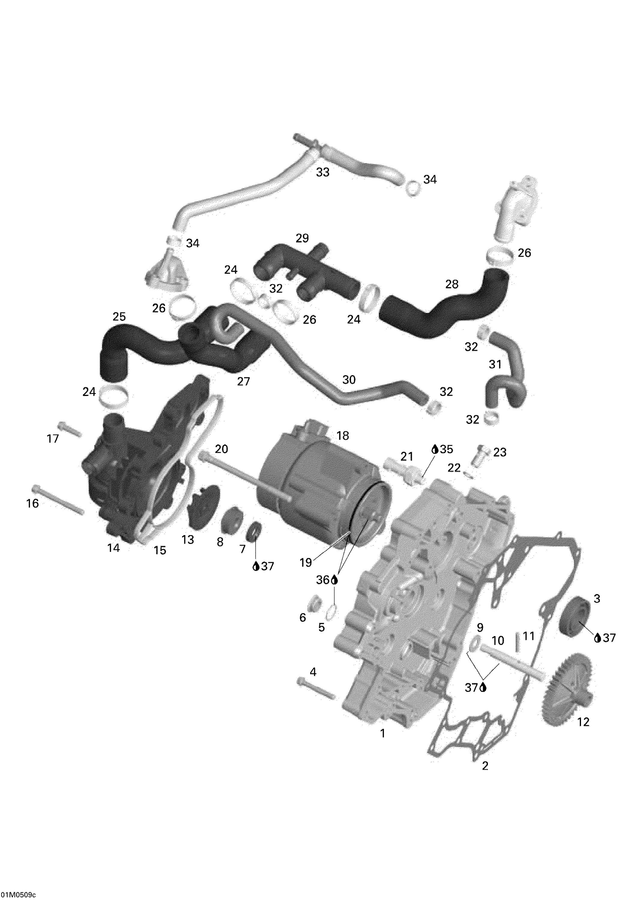 Waterpump, Alternator and Ignition Cover
