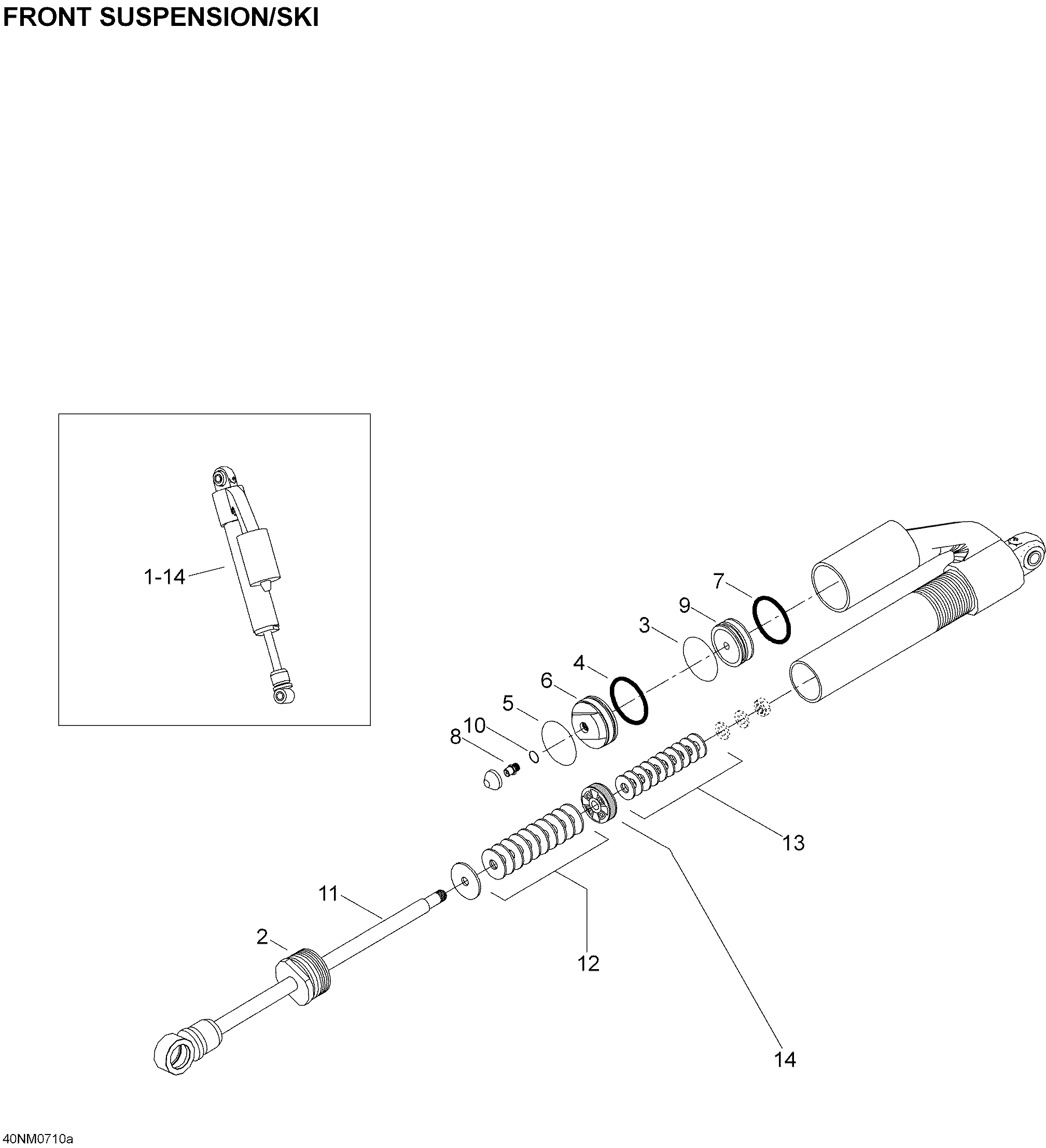 Take Apart Shock, Ski