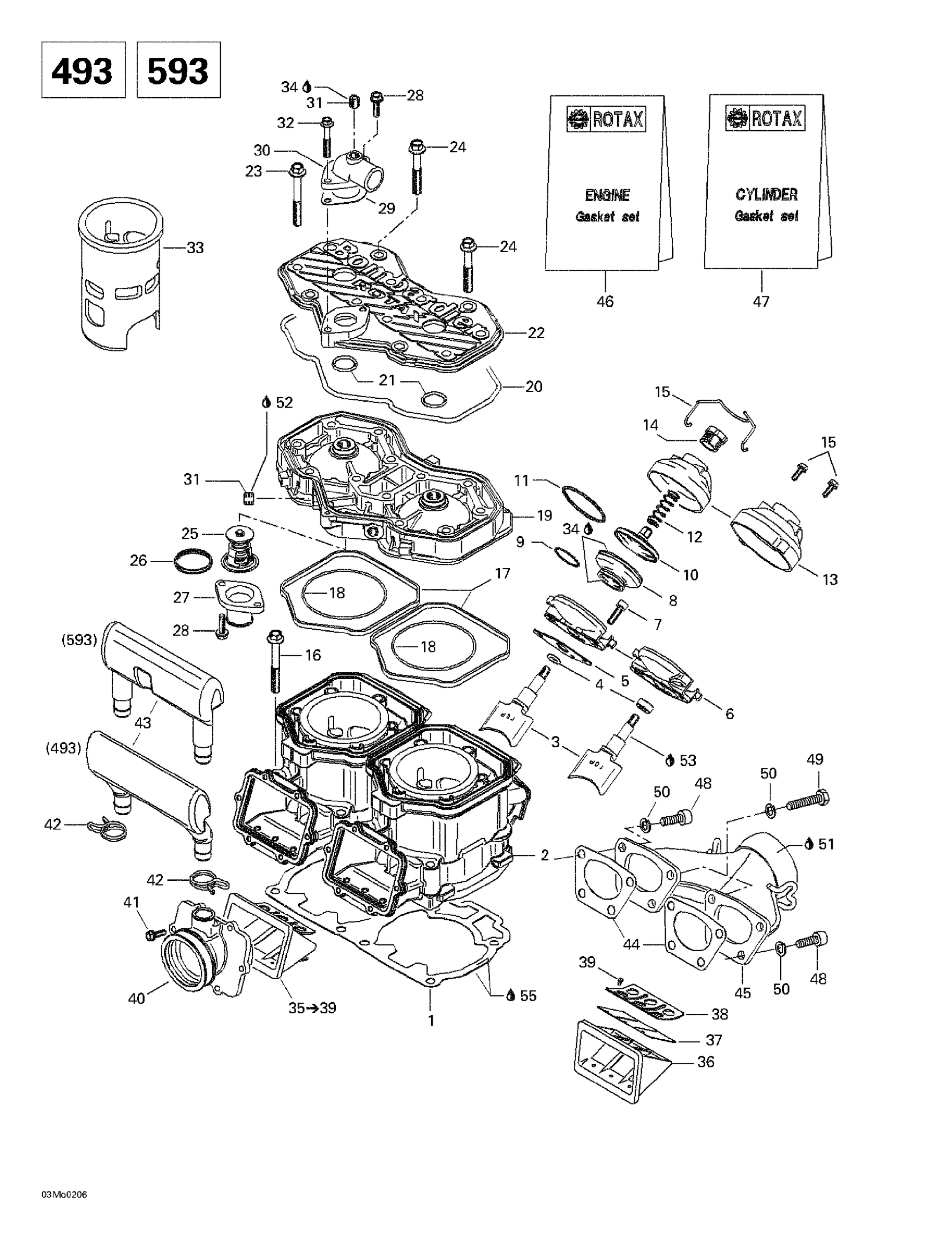 Cylinder, Exhaust Manifold, Reed Valve (493