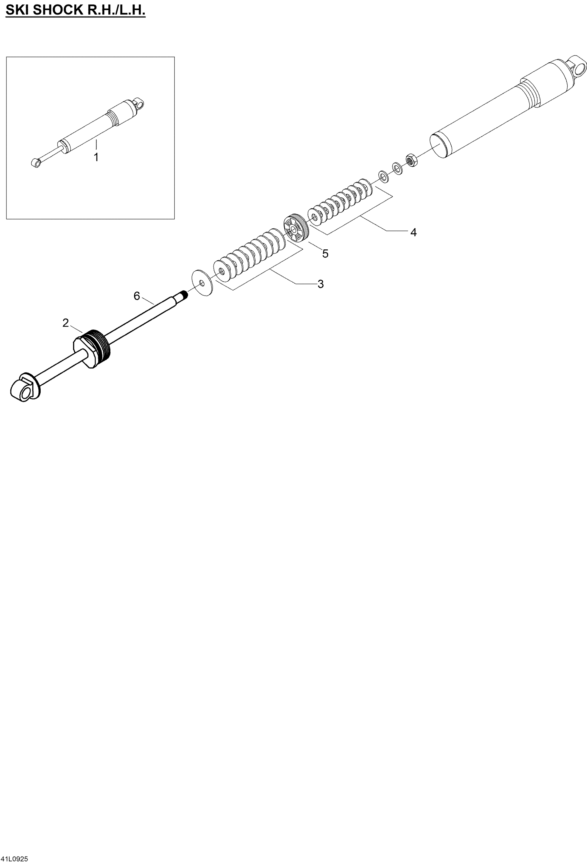 Take Apart Shock Skis