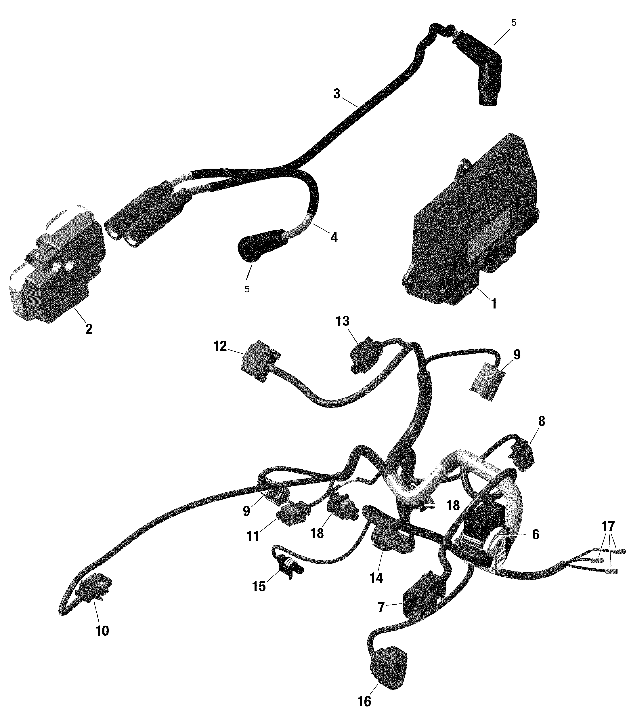 Rotax - Engine Harness And Electronic Module - 322