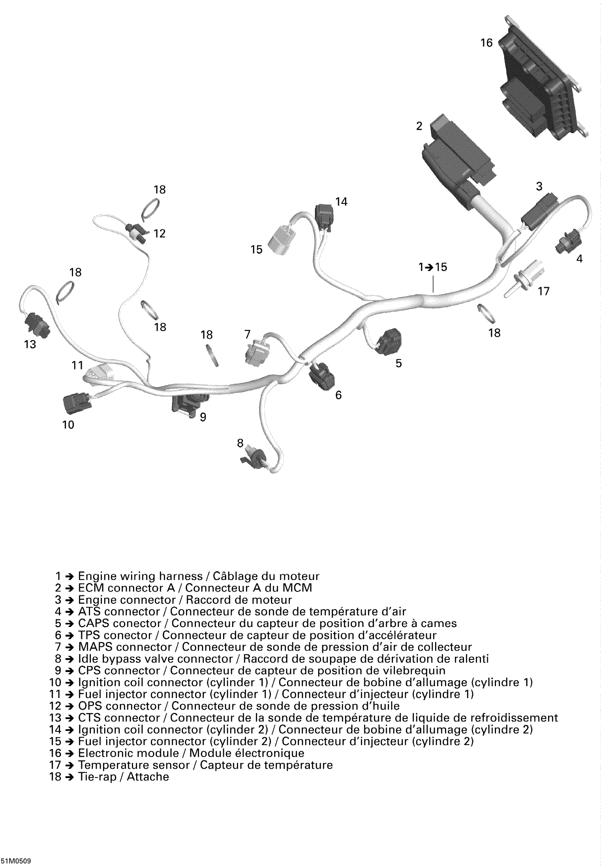 Engine Harness And Electronic Module