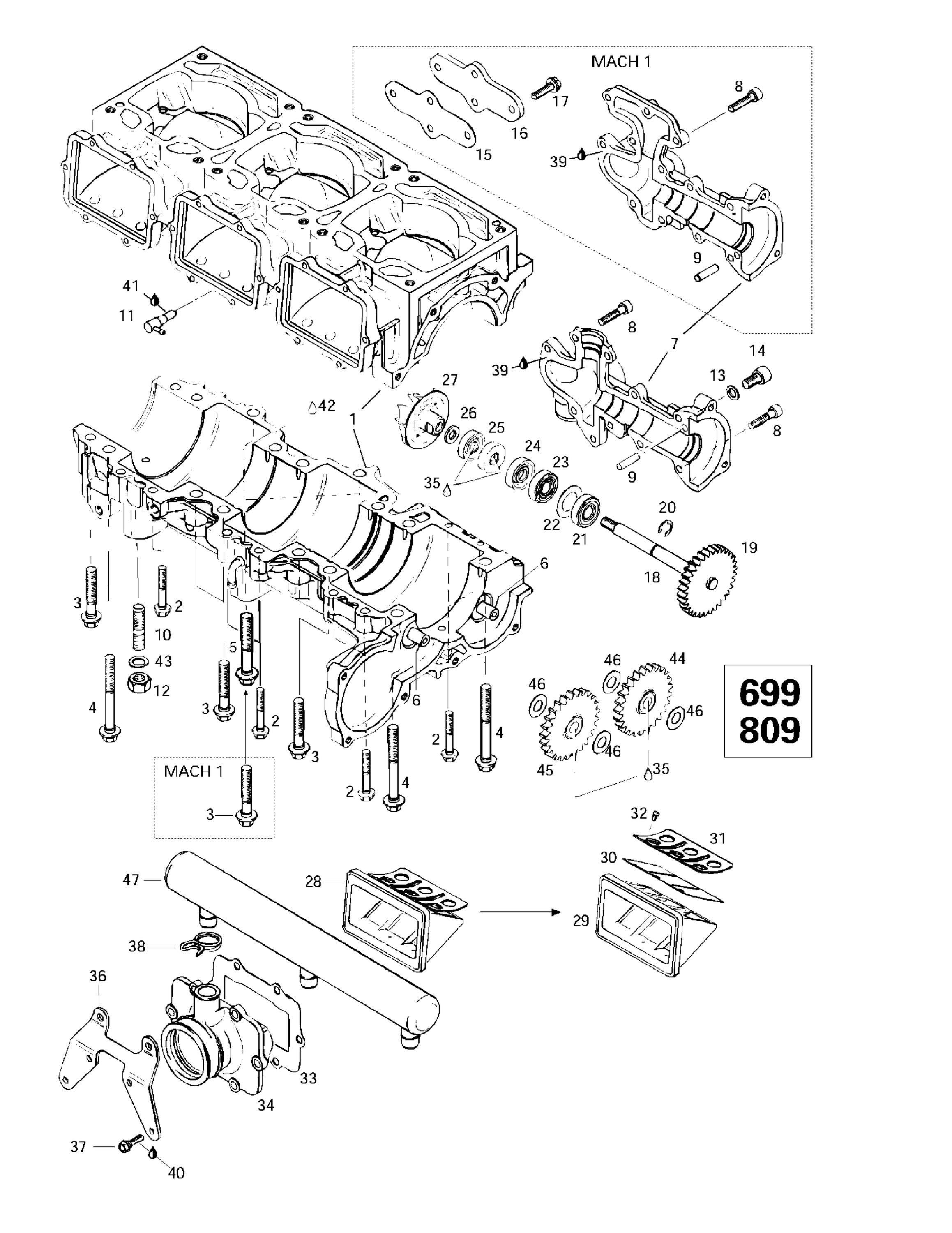 Crankcase, Reed Valve, Water Pump (699,809)