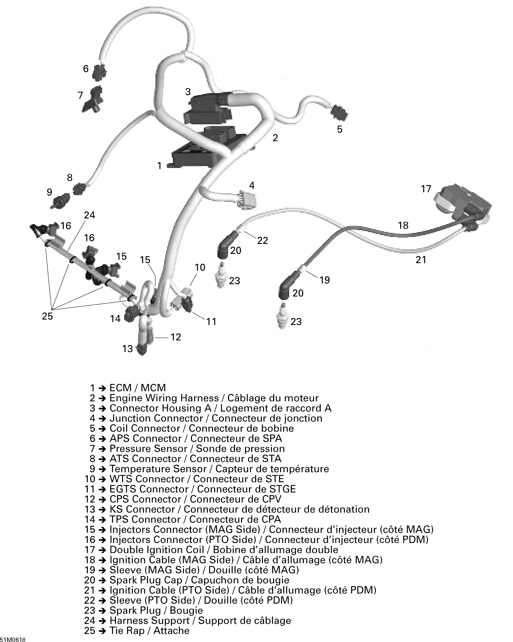 Engine Harness And Electronic Module