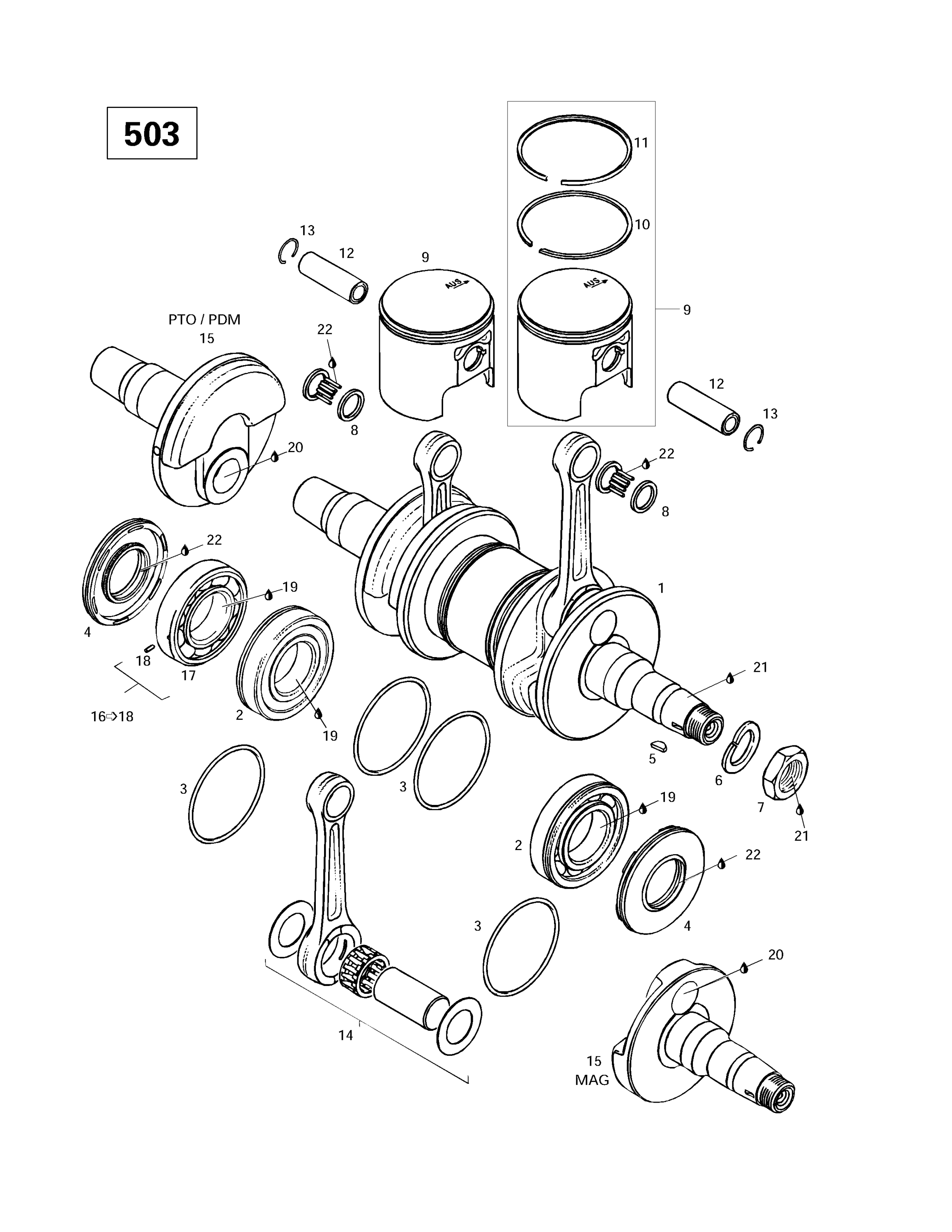 Crankshaft (503)