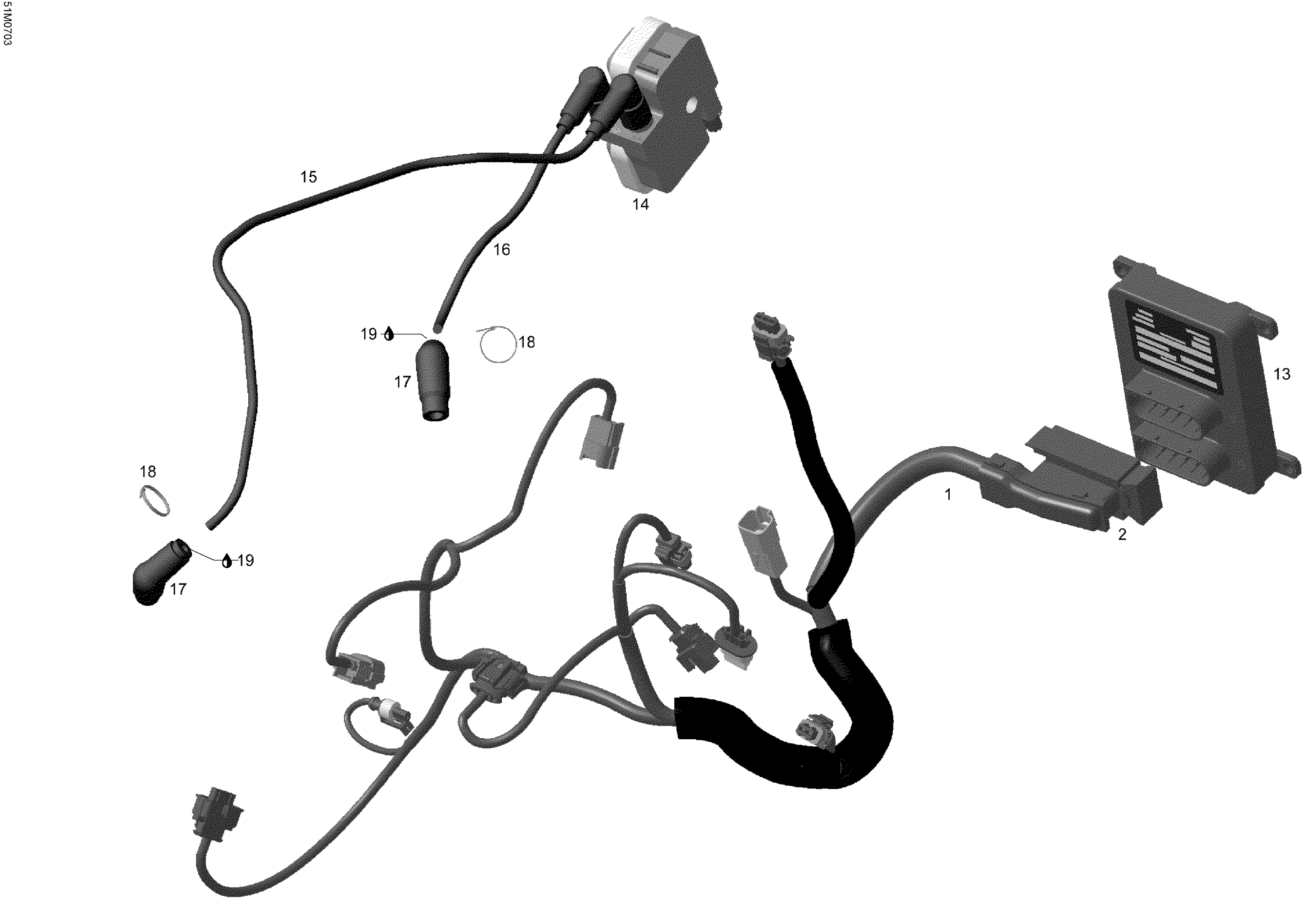 Engine Harness And Electronic Module
