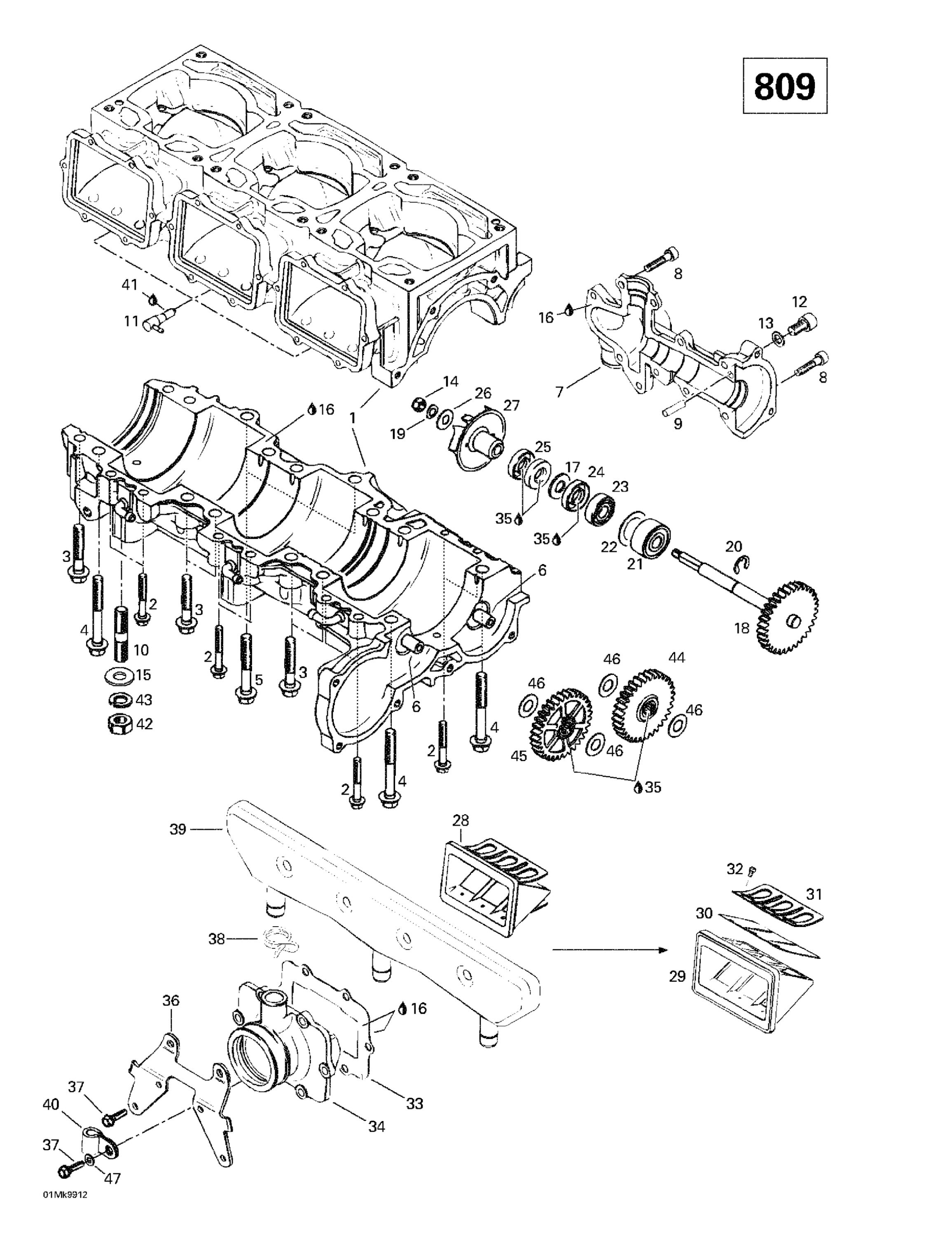 Crankcase, Reed Valve, Water Pump (809)