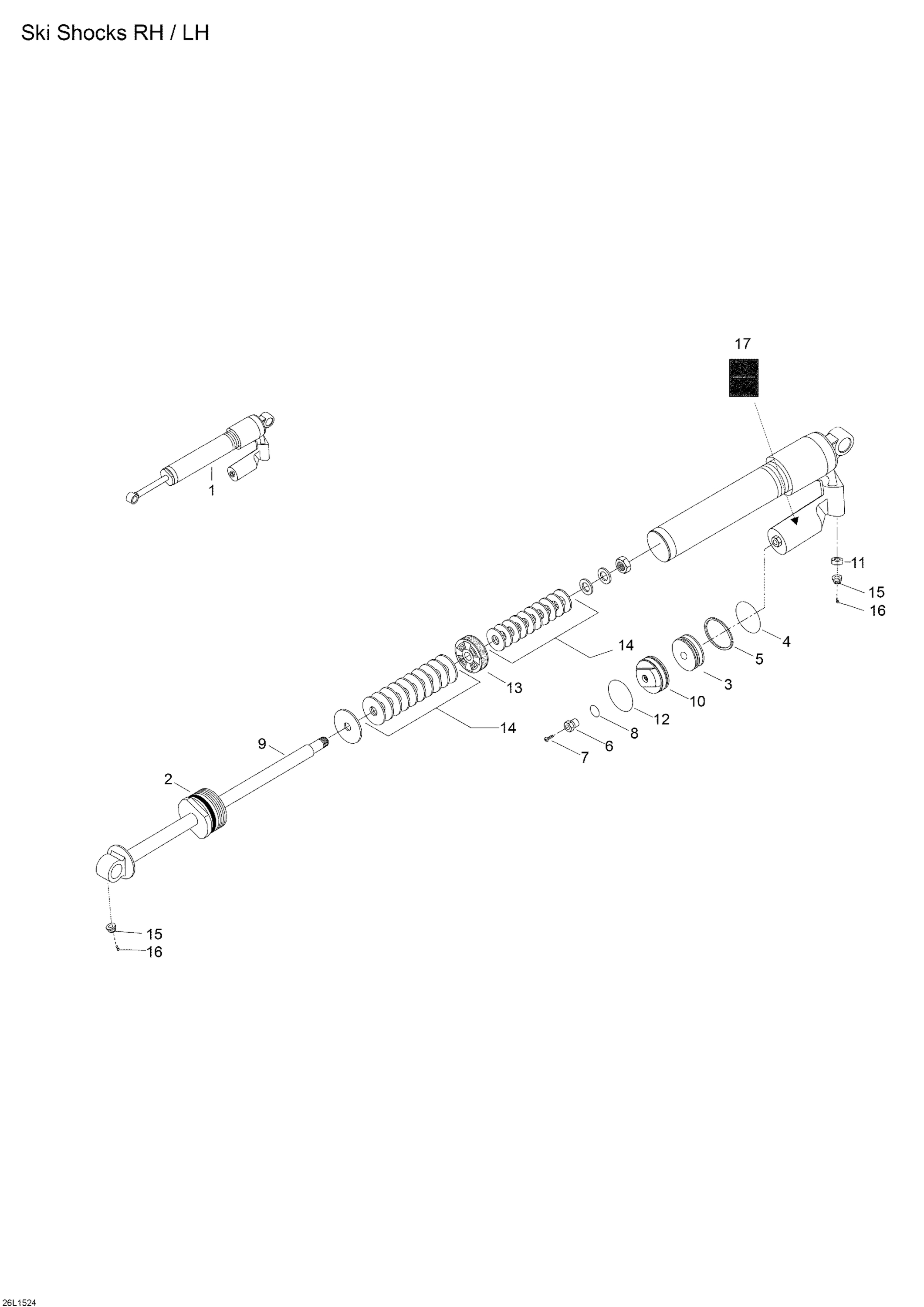 Ski Shocks
