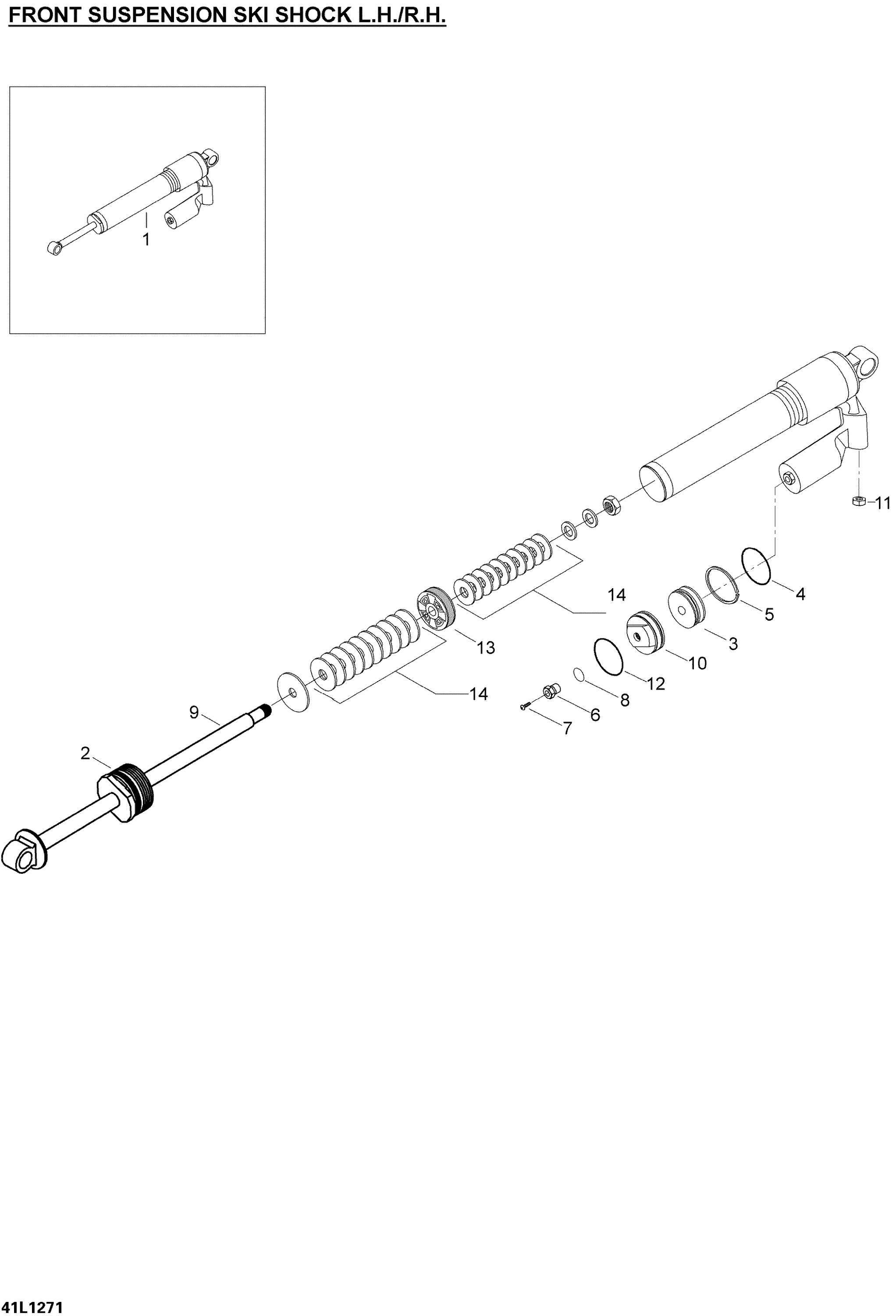 Ski Shocks
