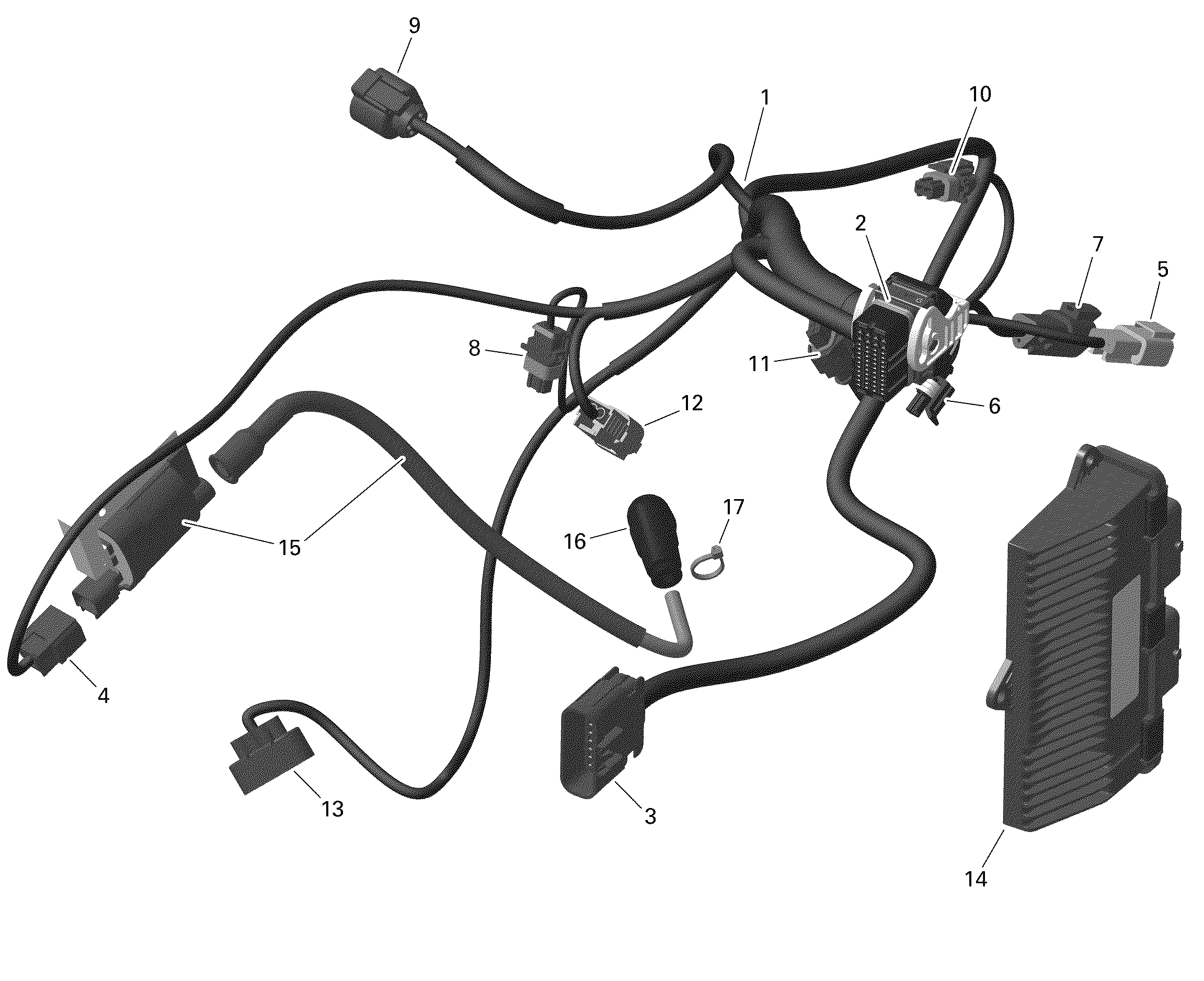 ROTAX - Engine Harness And Electronic Module