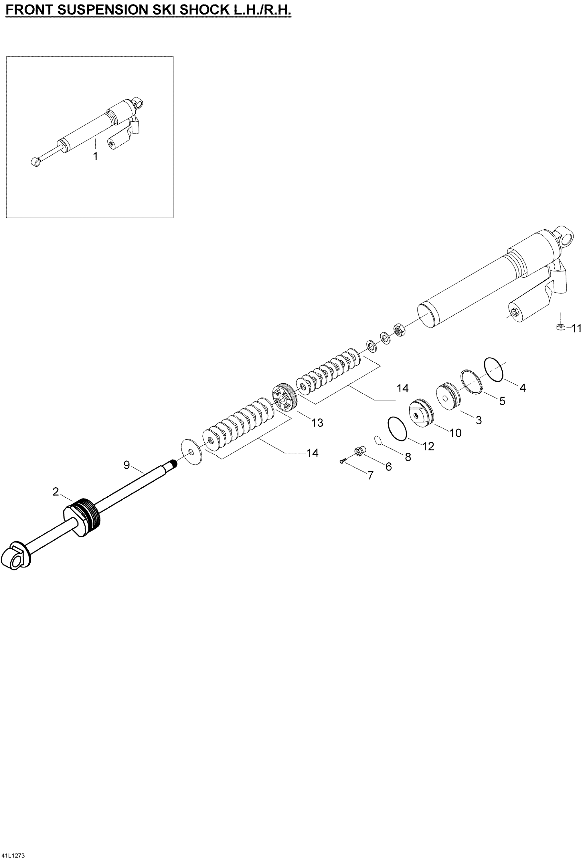 Ski Shocks