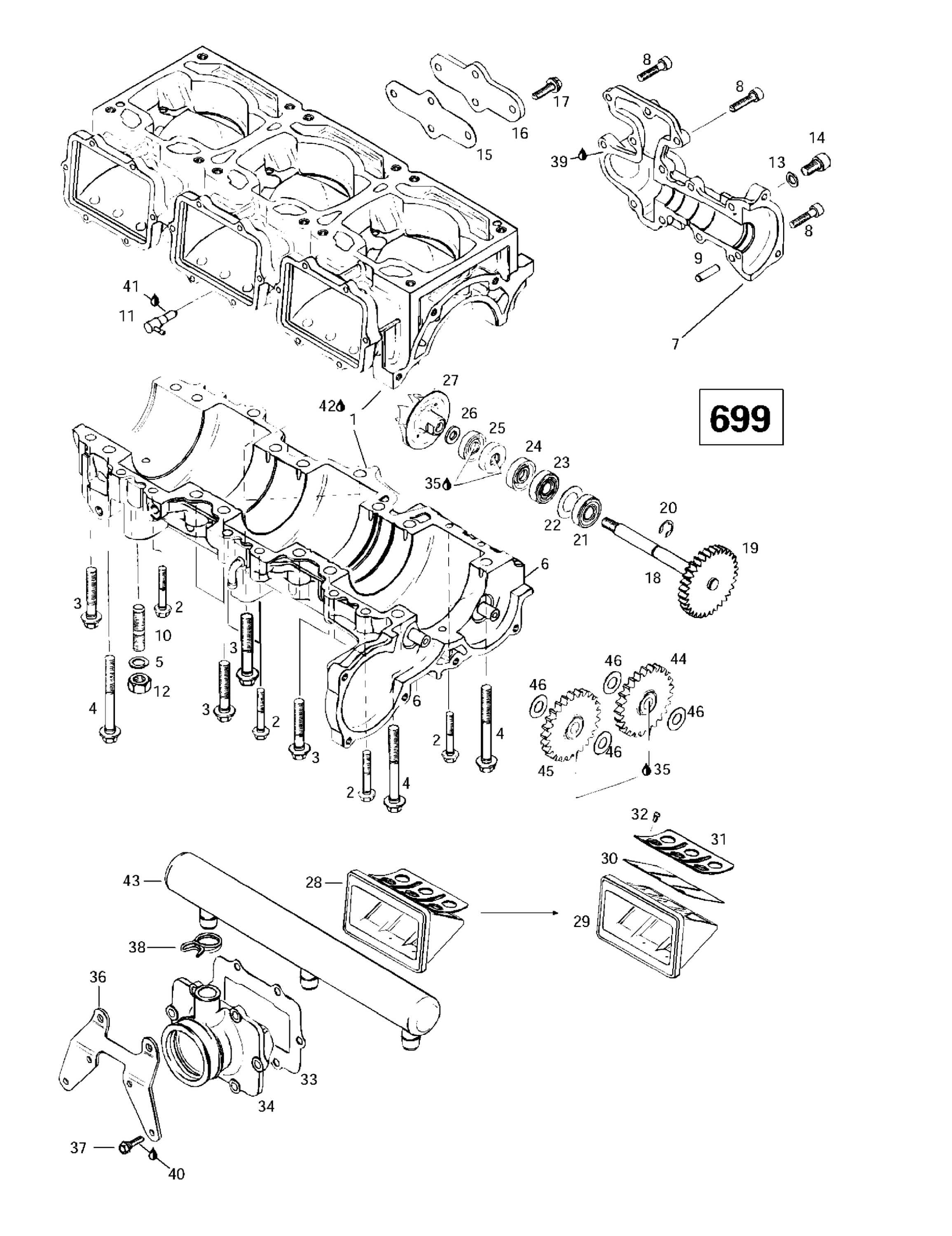 Crankcase, Reed Valve, Water Pump (699)