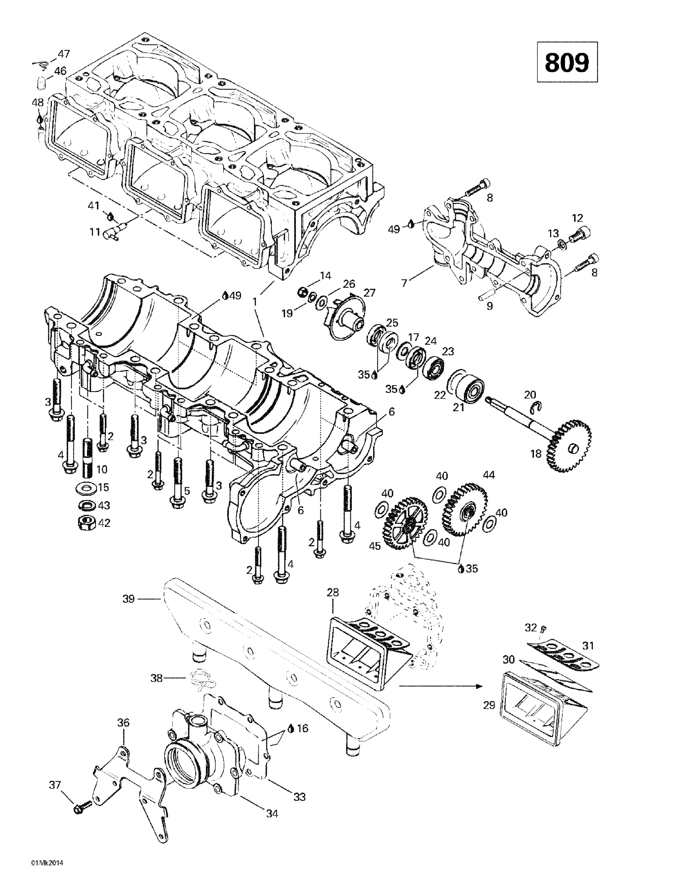 Схема узла: Crankcase, Reed Valve, Water Pump (809)