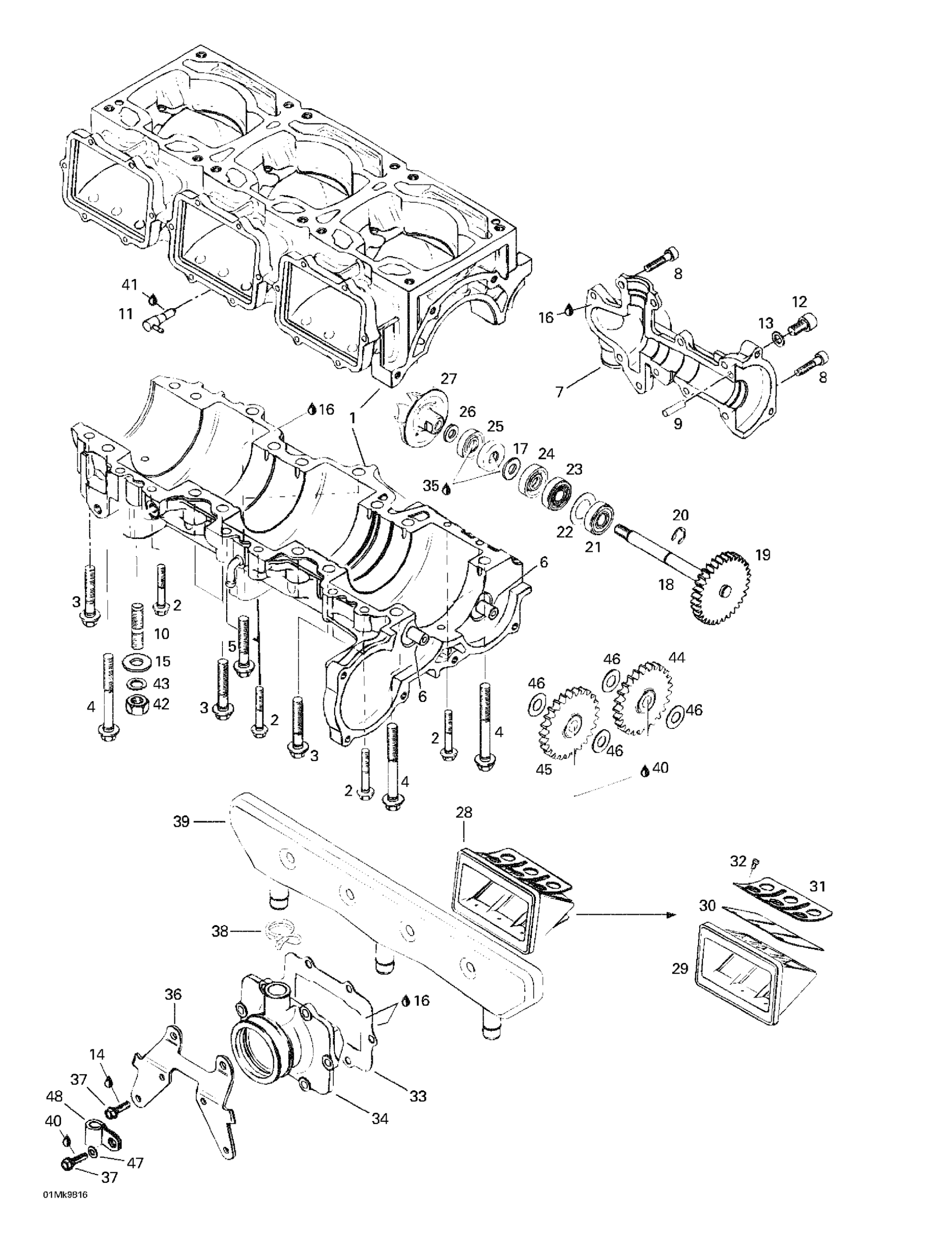 Crankcase, Reed Valve, Water Pump