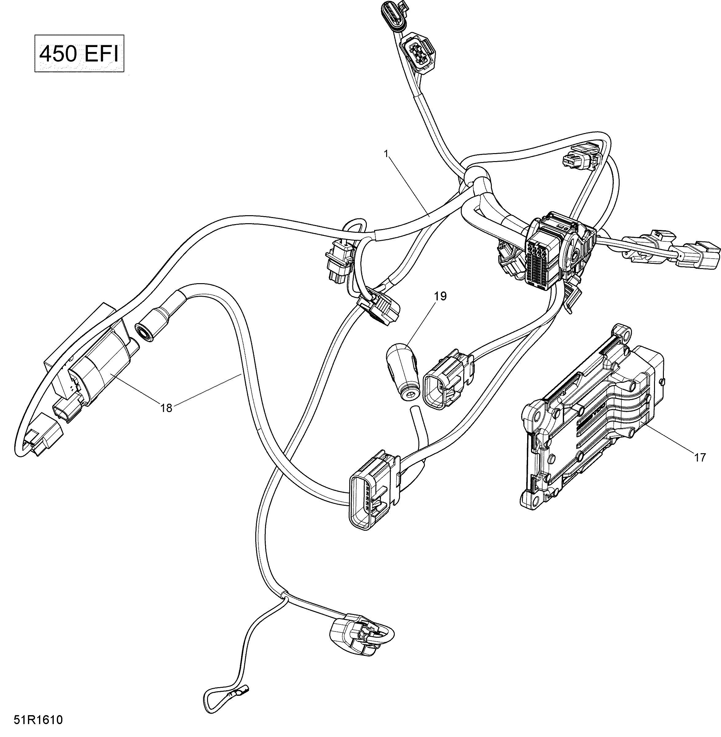 ROTAX - Engine Harness And Electronic Module