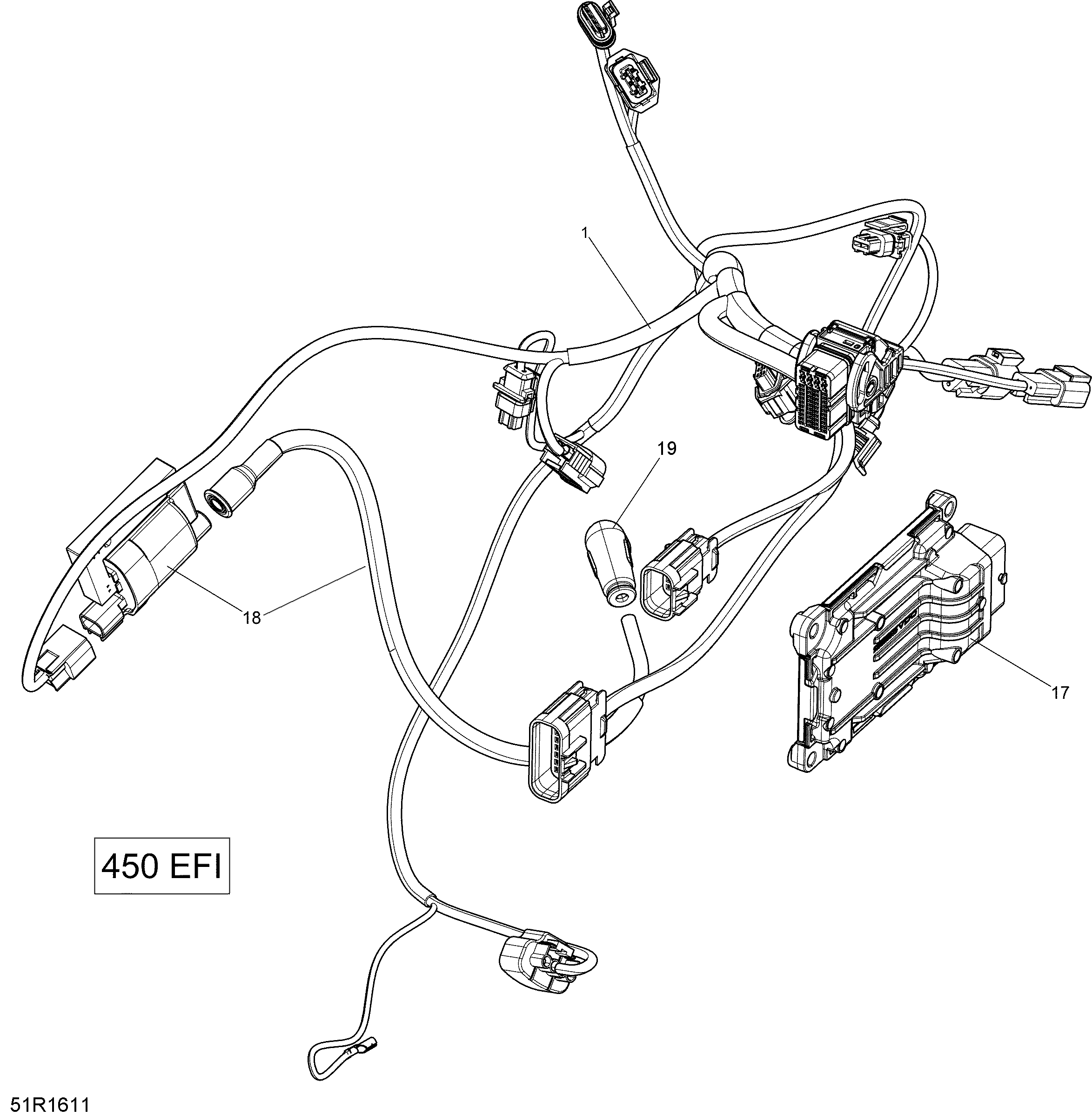 Схема узла: Engine Harness and Electronic Module - 450 EFI