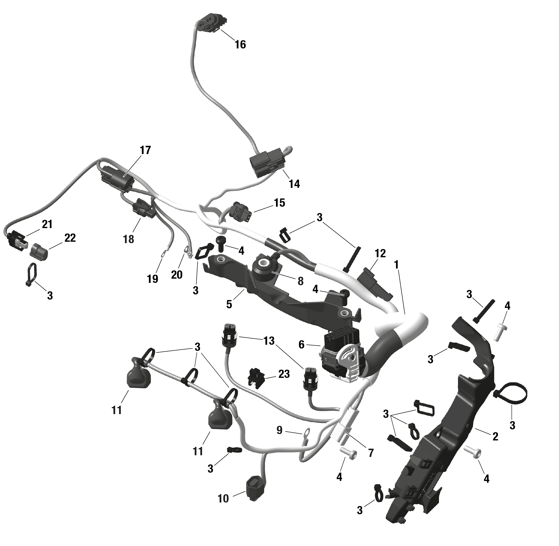 Схема узла: ROTAX - Engine Harness And Electronic Module