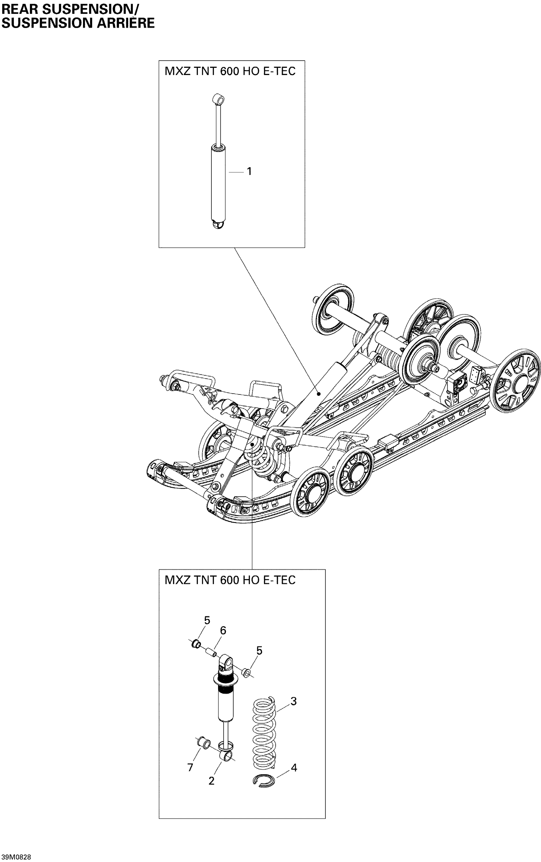 Rear Suspension Shocks
