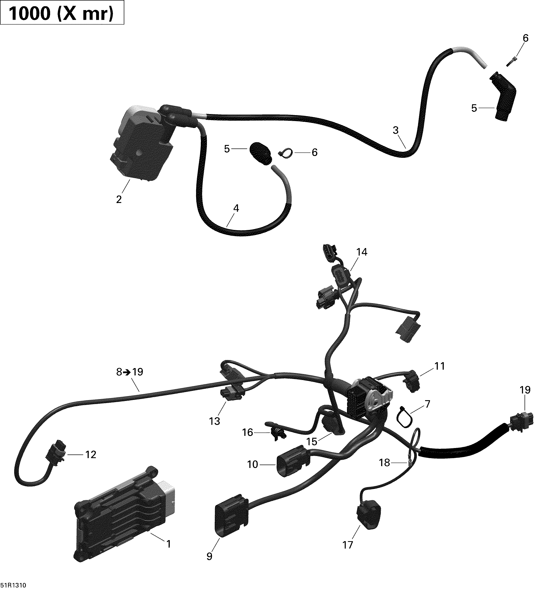 Engine Harness And Electronic Module
