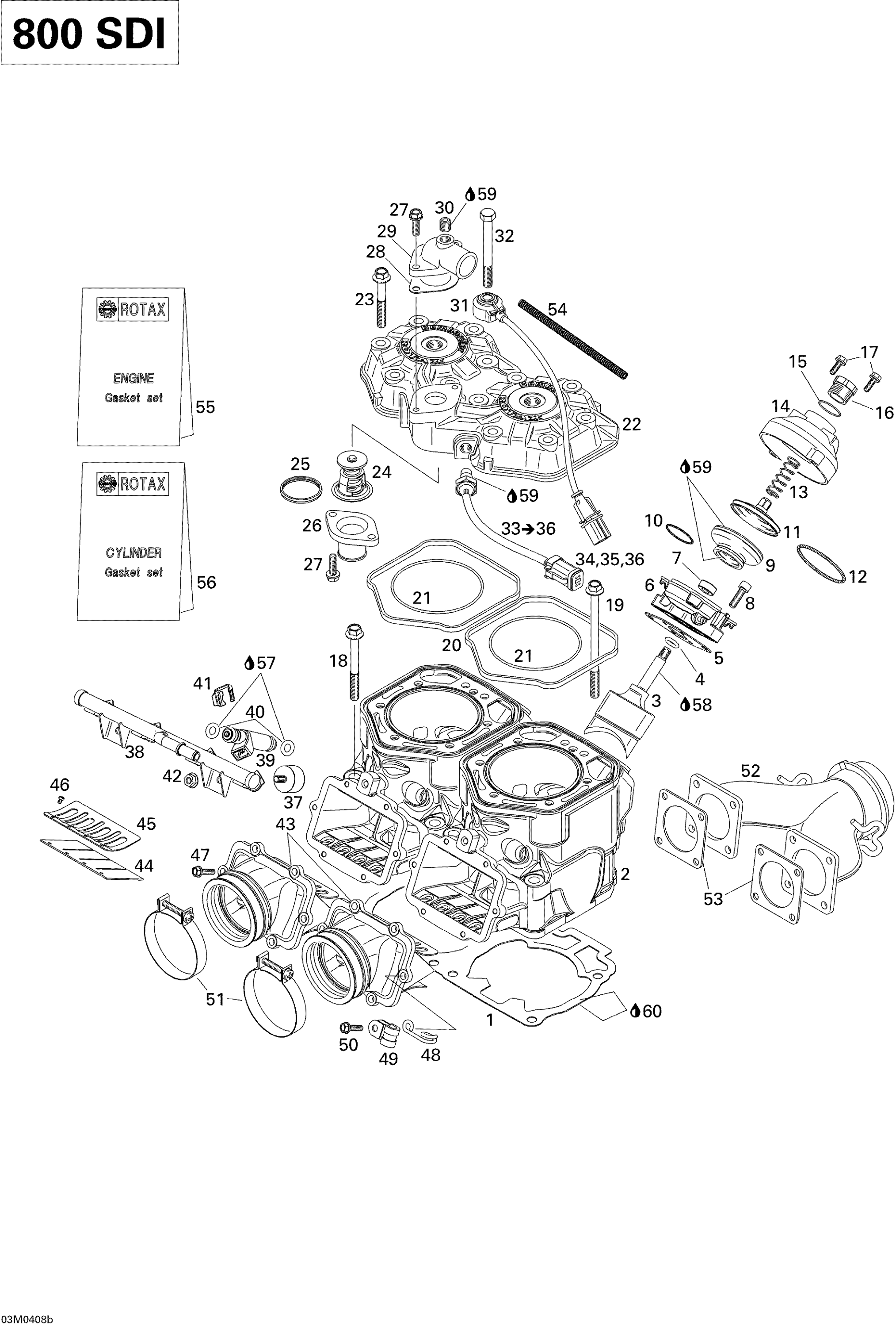 Cylinder, Exhaust Manifold, Reed Valve (800)