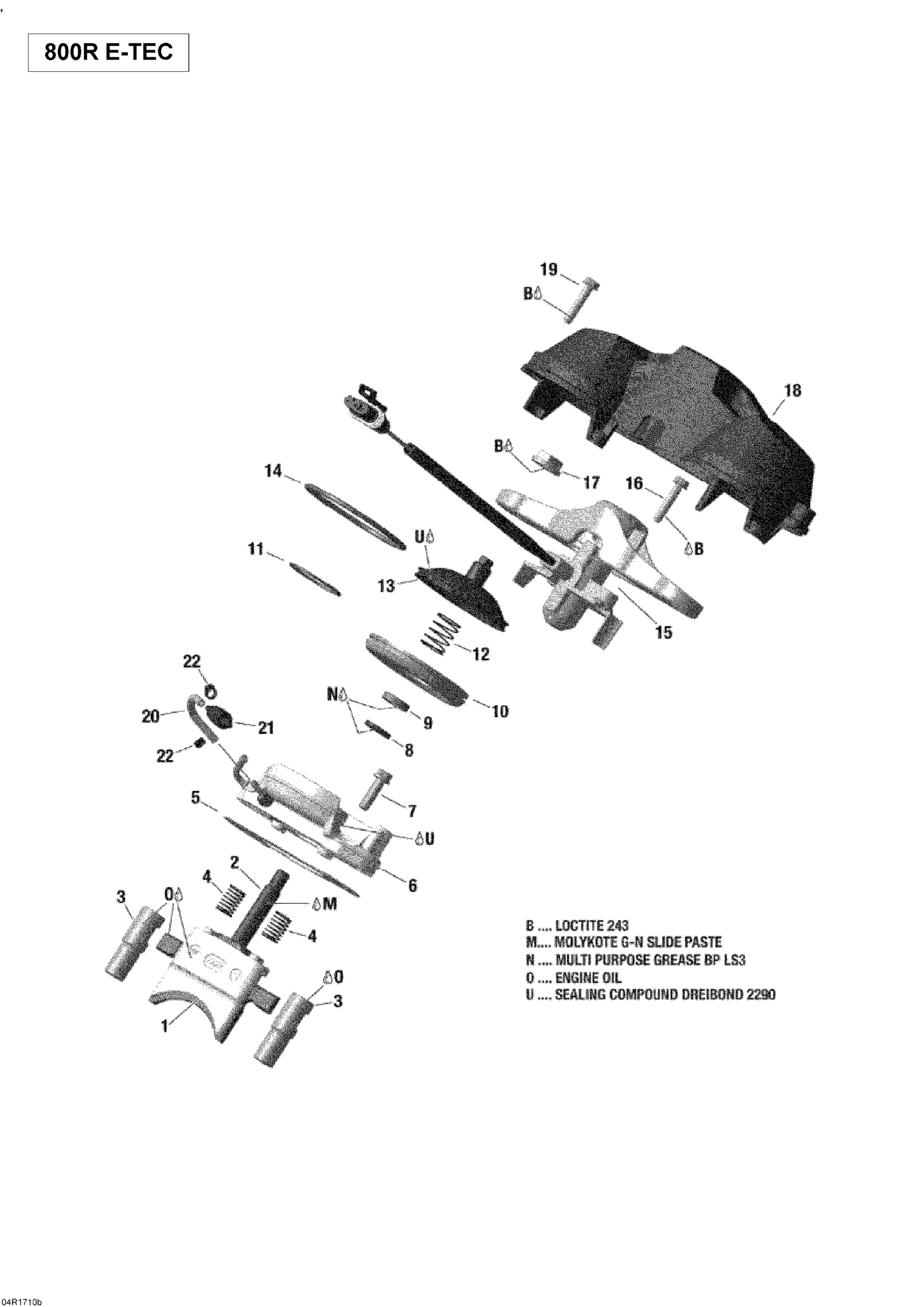 Rave Valve - 800R E-TEC