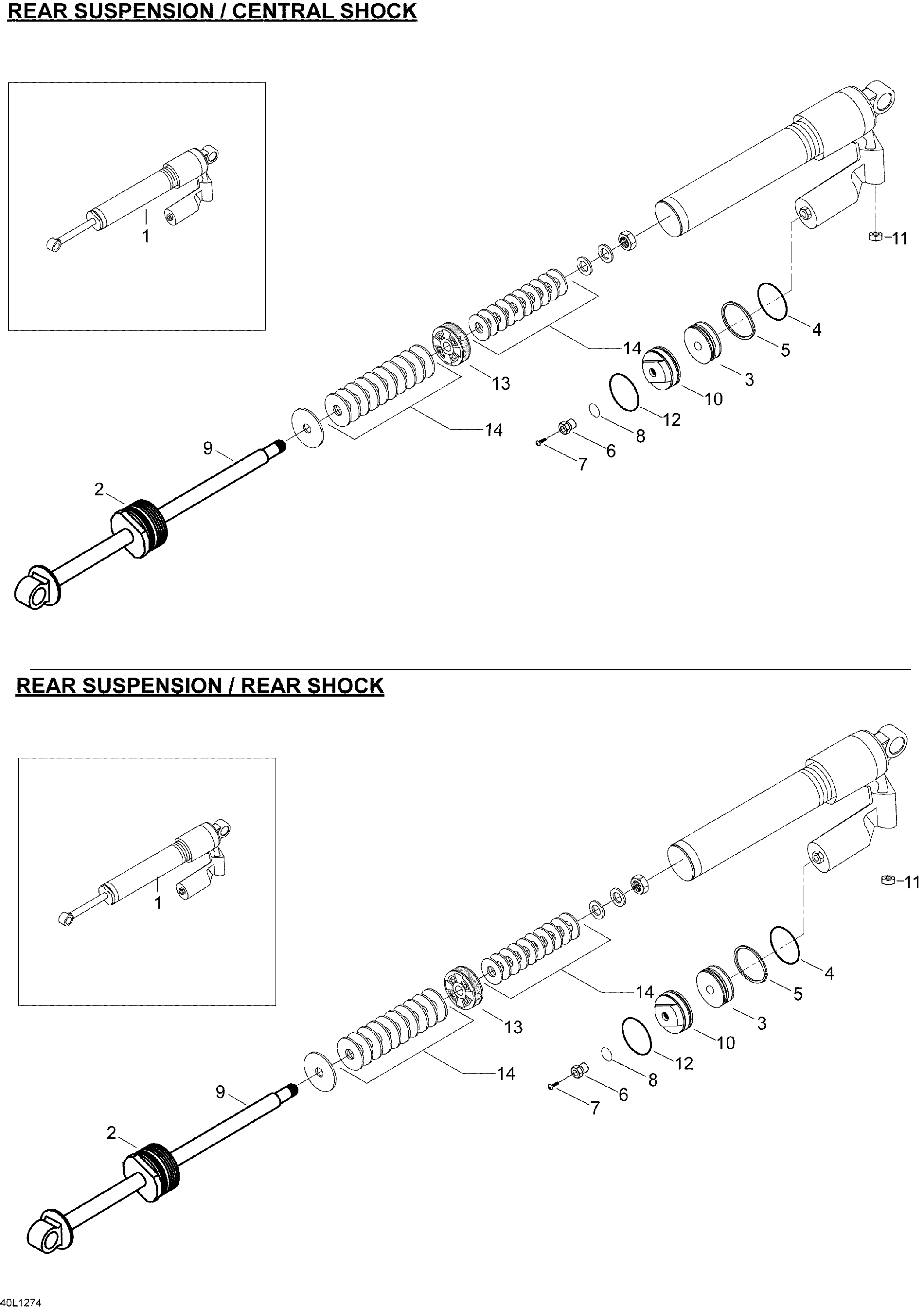 Rear Shocks
