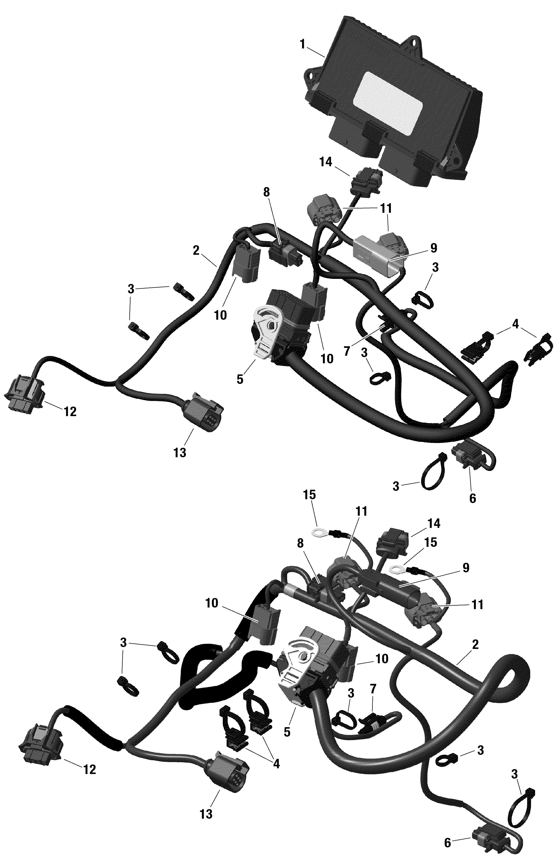 Electric - Engine Harness And Electronic Module 1